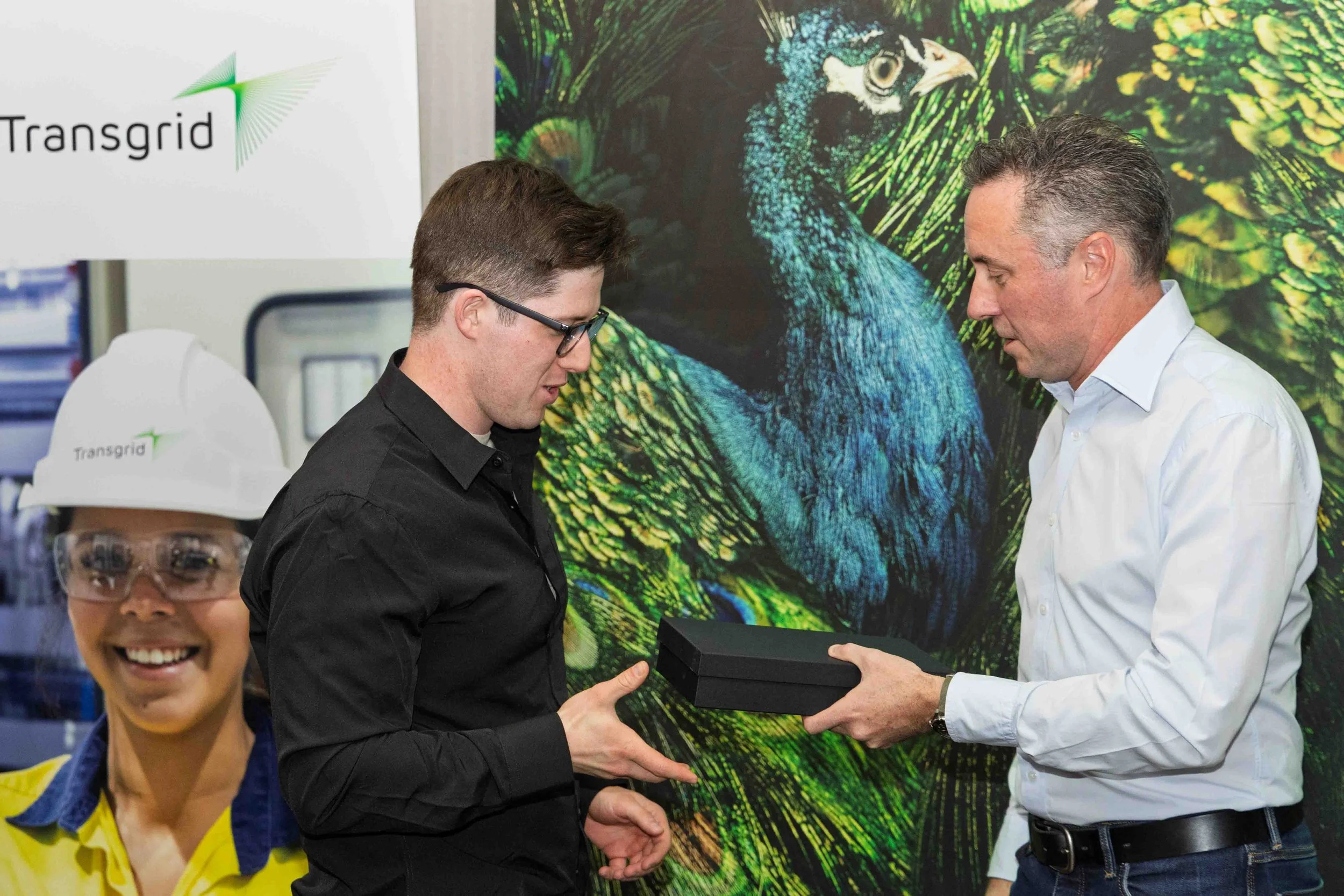 transgrid-electricity-network-award-tania-kuegler-photography.JPG