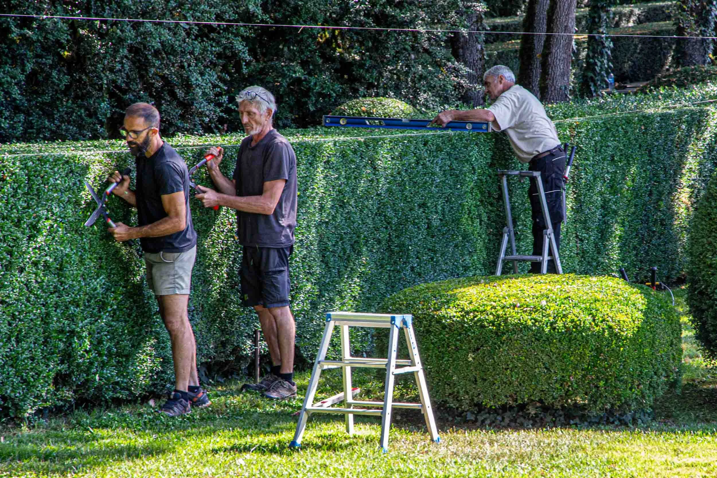 landscaper-hedges-orange-tania-kuegler-photography.JPG