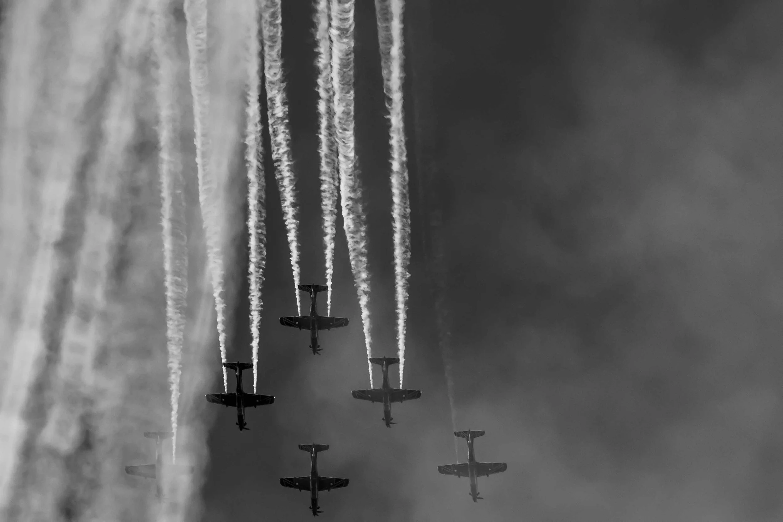 australia-roulettes-displays-tania-kuegler-photography.JPG