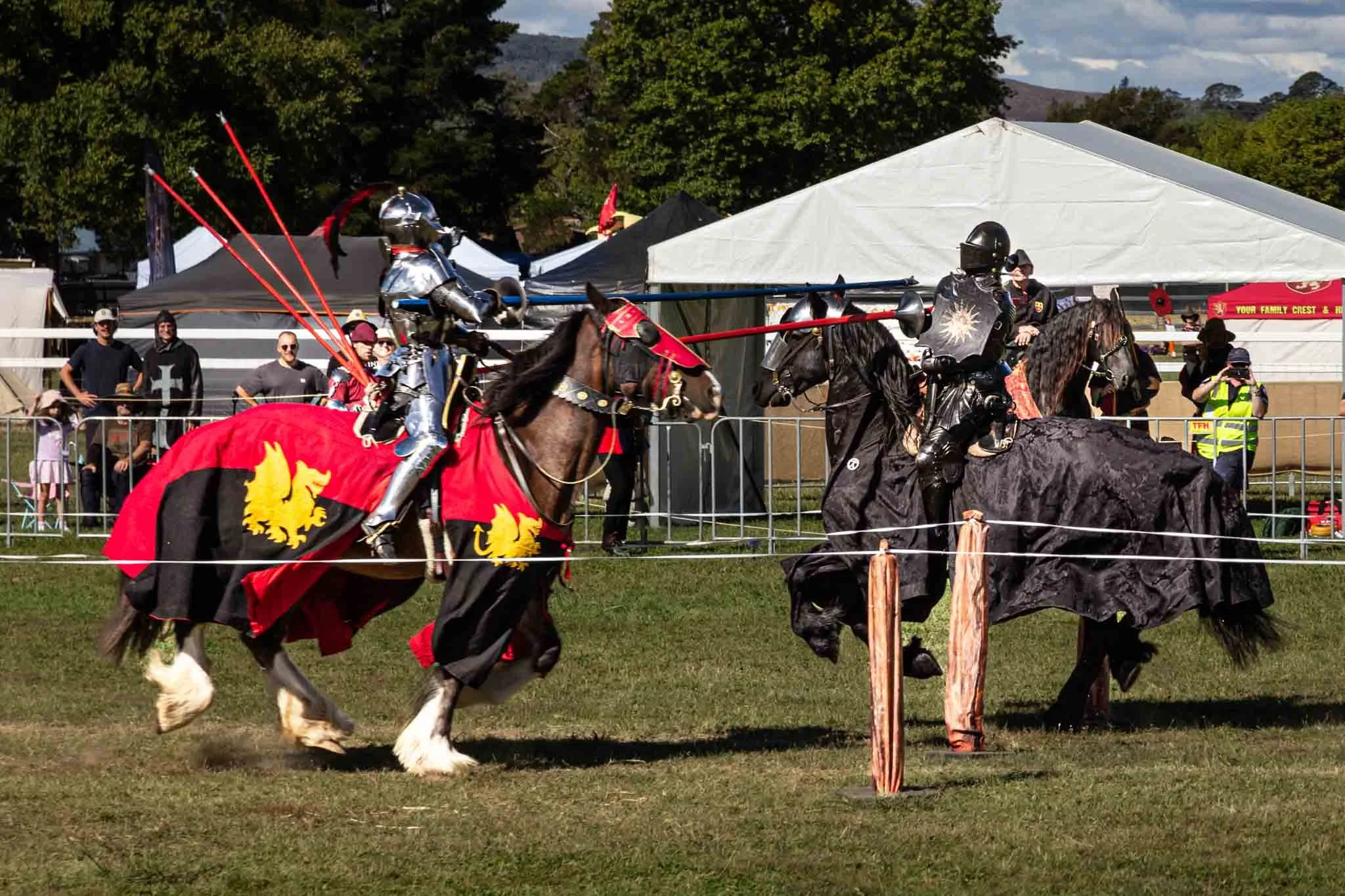 medieval-faire-jousting.JPG