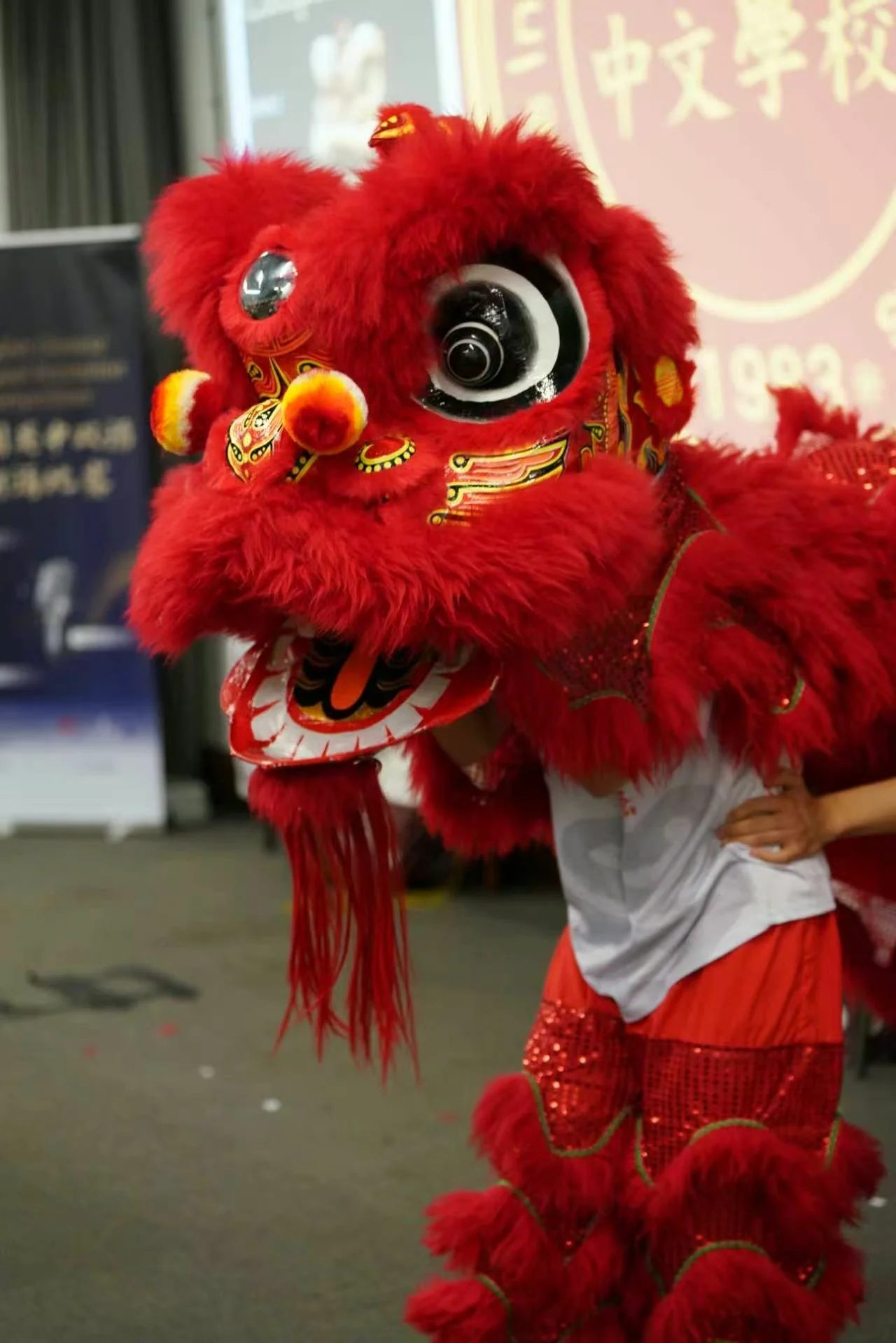 Lion dance 1.jpg