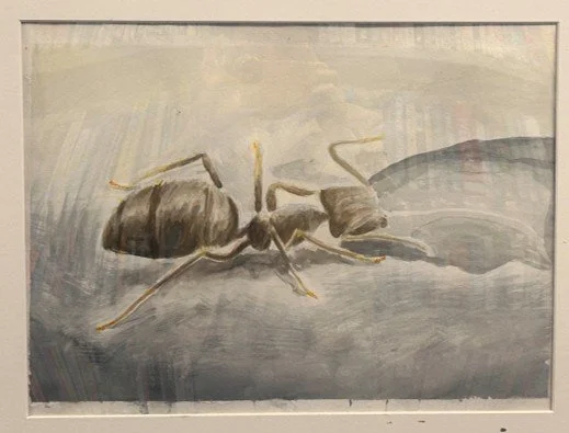 Ant.jpg