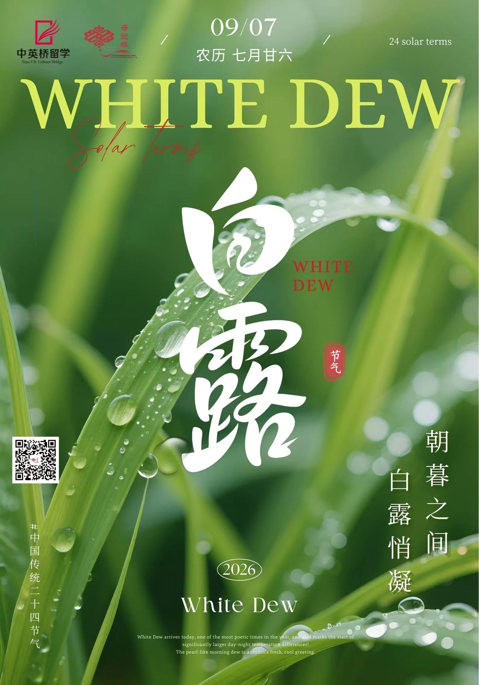 White Dew (白露) | Finding Warmth in the Smallest Moments