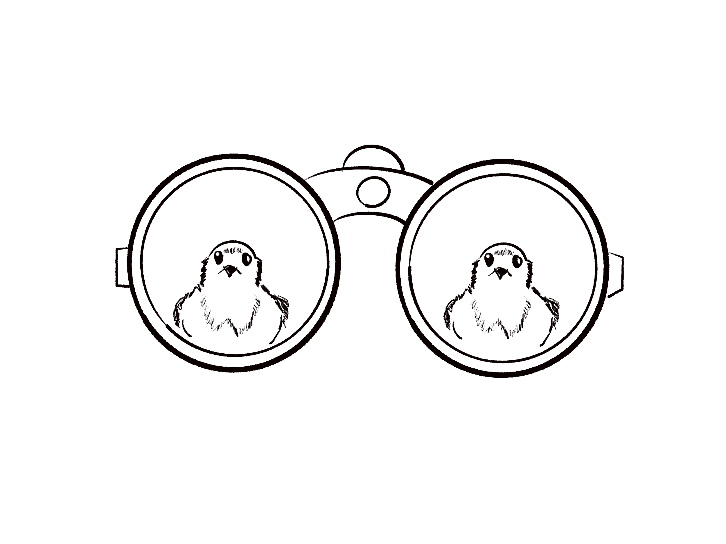 Birdwatching | 观鸟