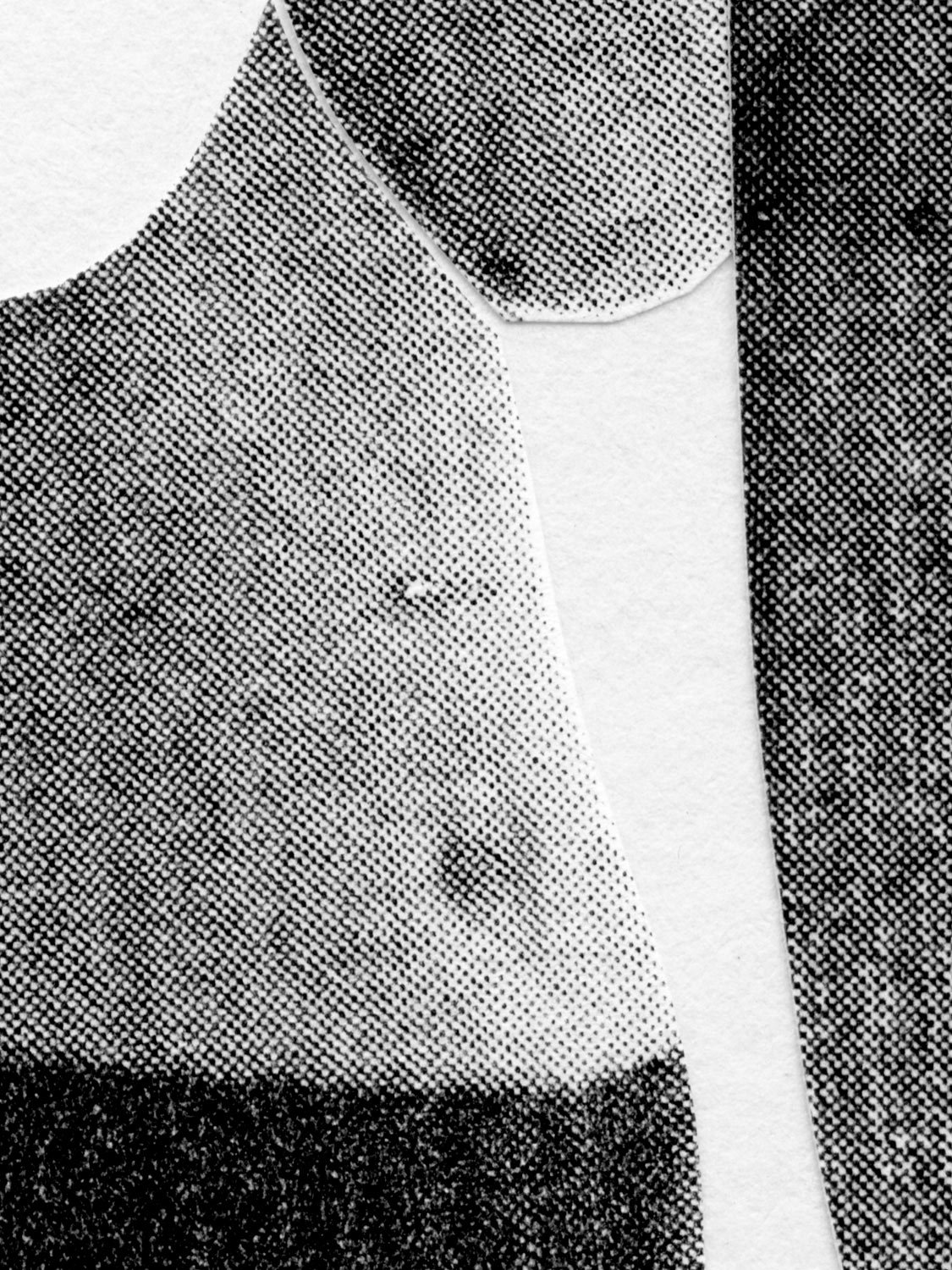 2110B_zoom-2.jpg