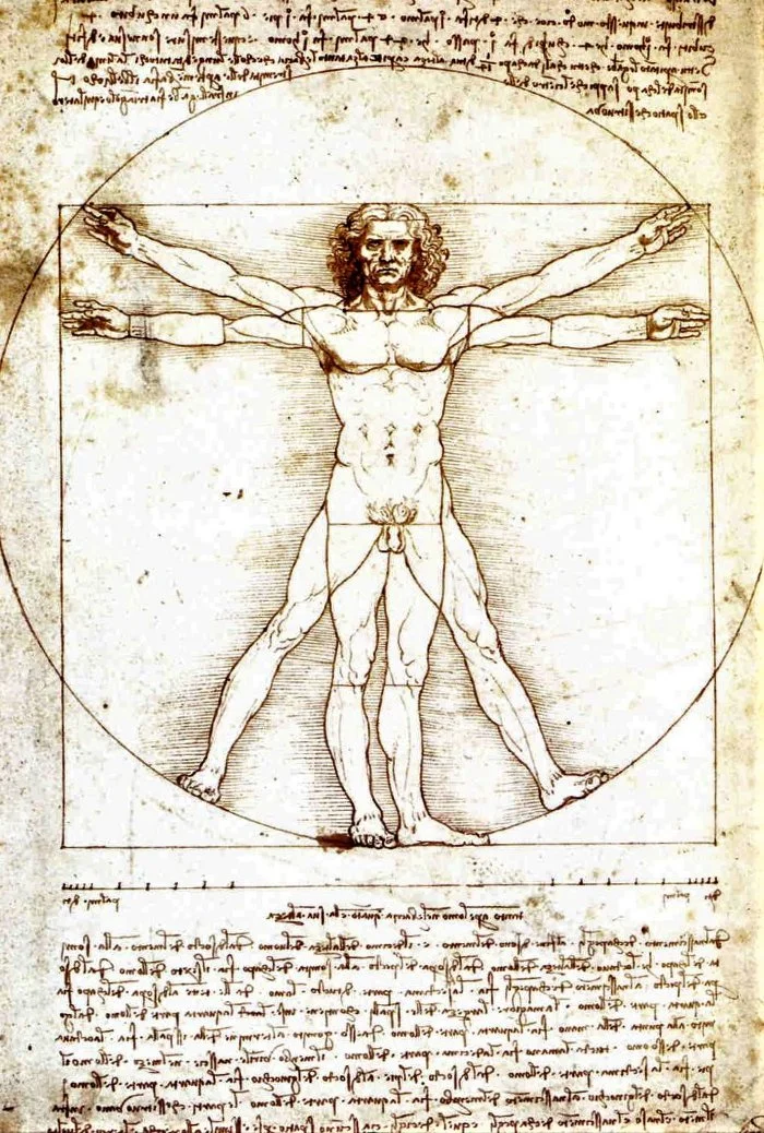 Leonardo-Vitruvian-Man.jpg