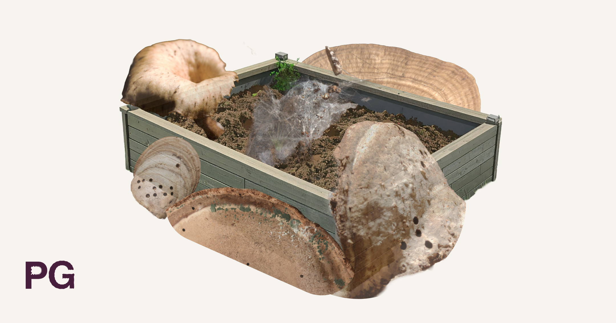 Tropical Fungus: Digital Futures &amp; Brown Blindness