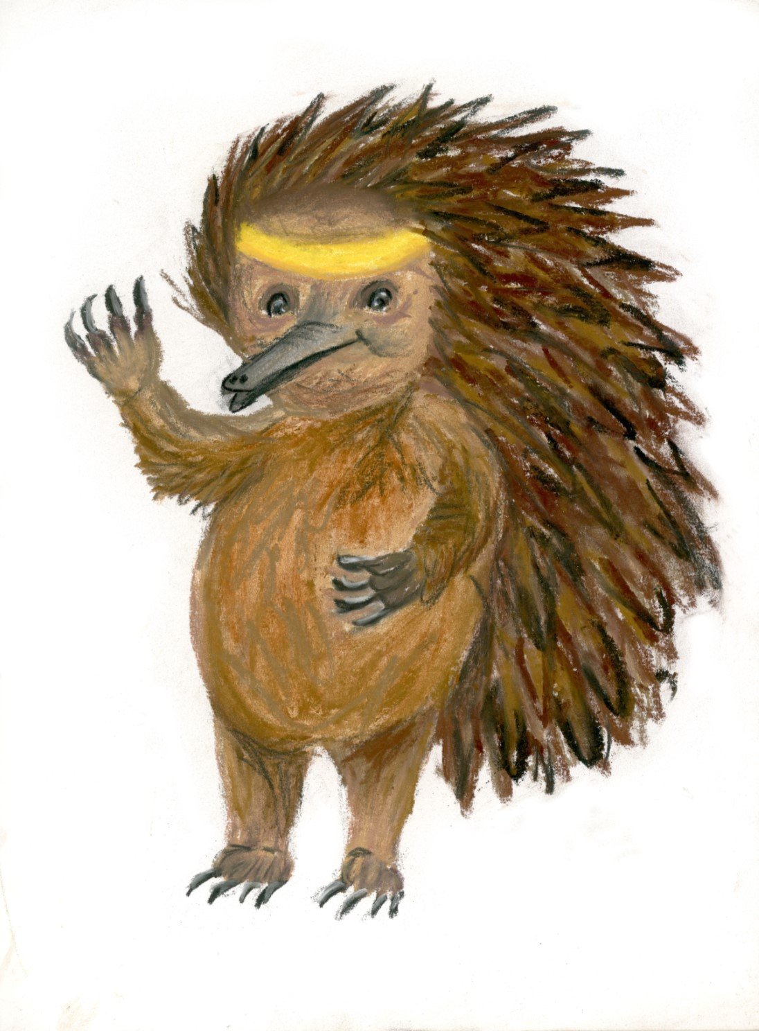echidnamascotjpeg.jpg