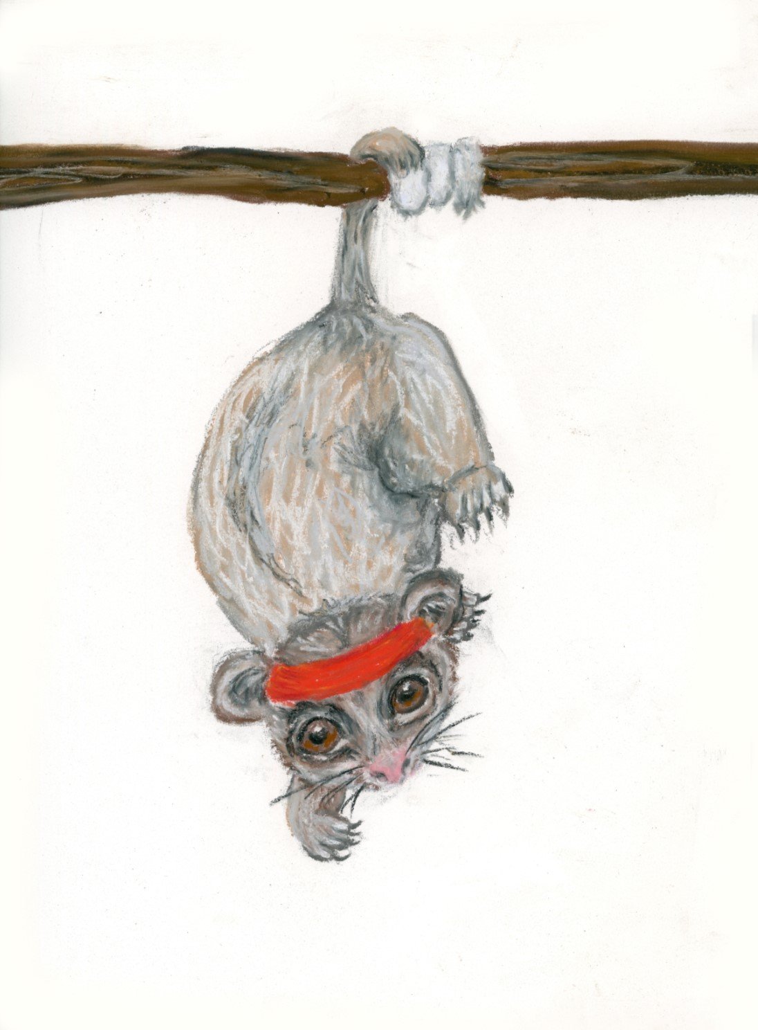 possummascotjpeg.jpg