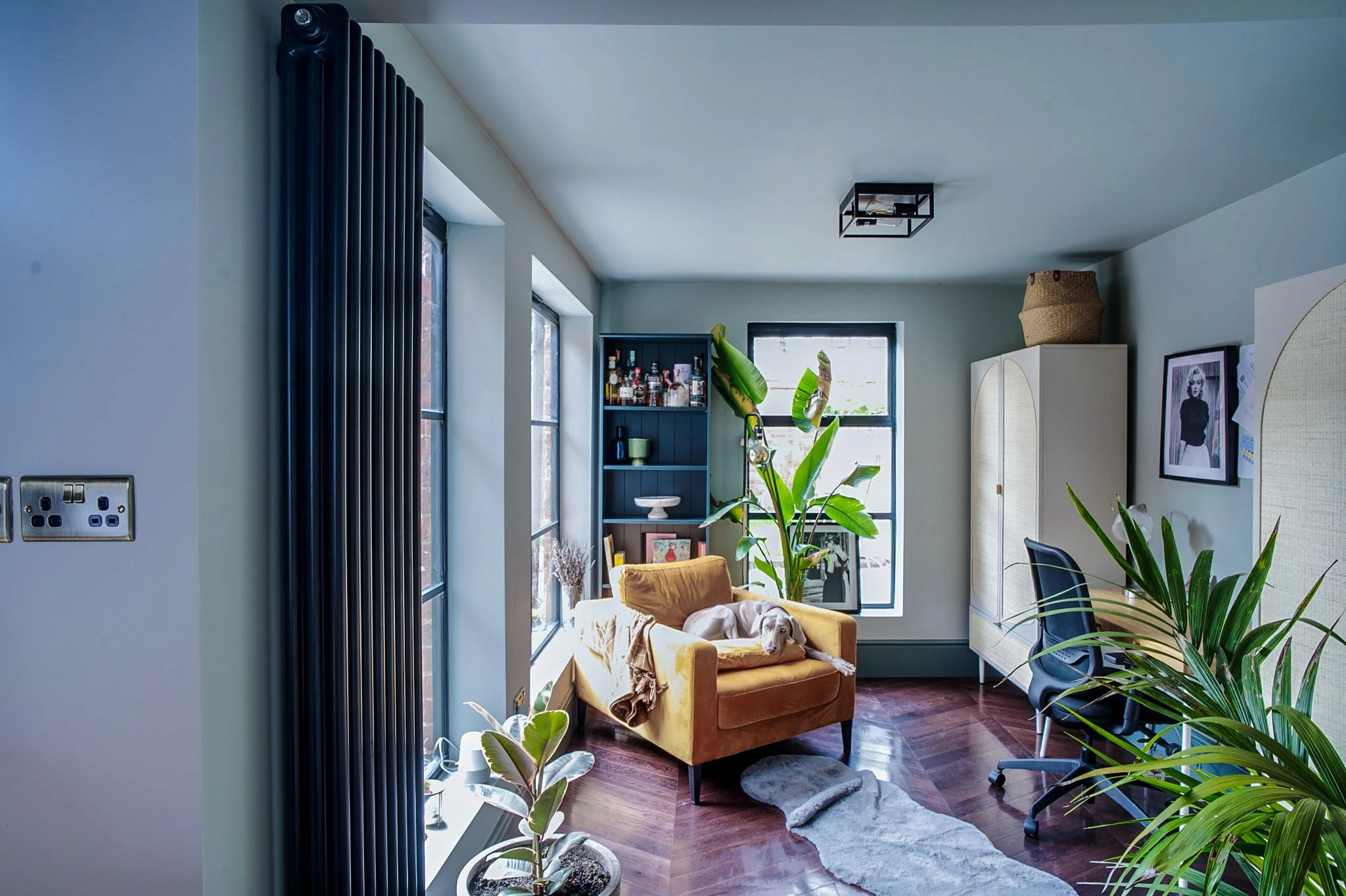 A cozy living room with sunlight coming through large windows, featuring a mustard-colored couch, potted plants, a bookshelf, framed black and white photos, a white wardrobe, and a gray rug on wooden flooring.