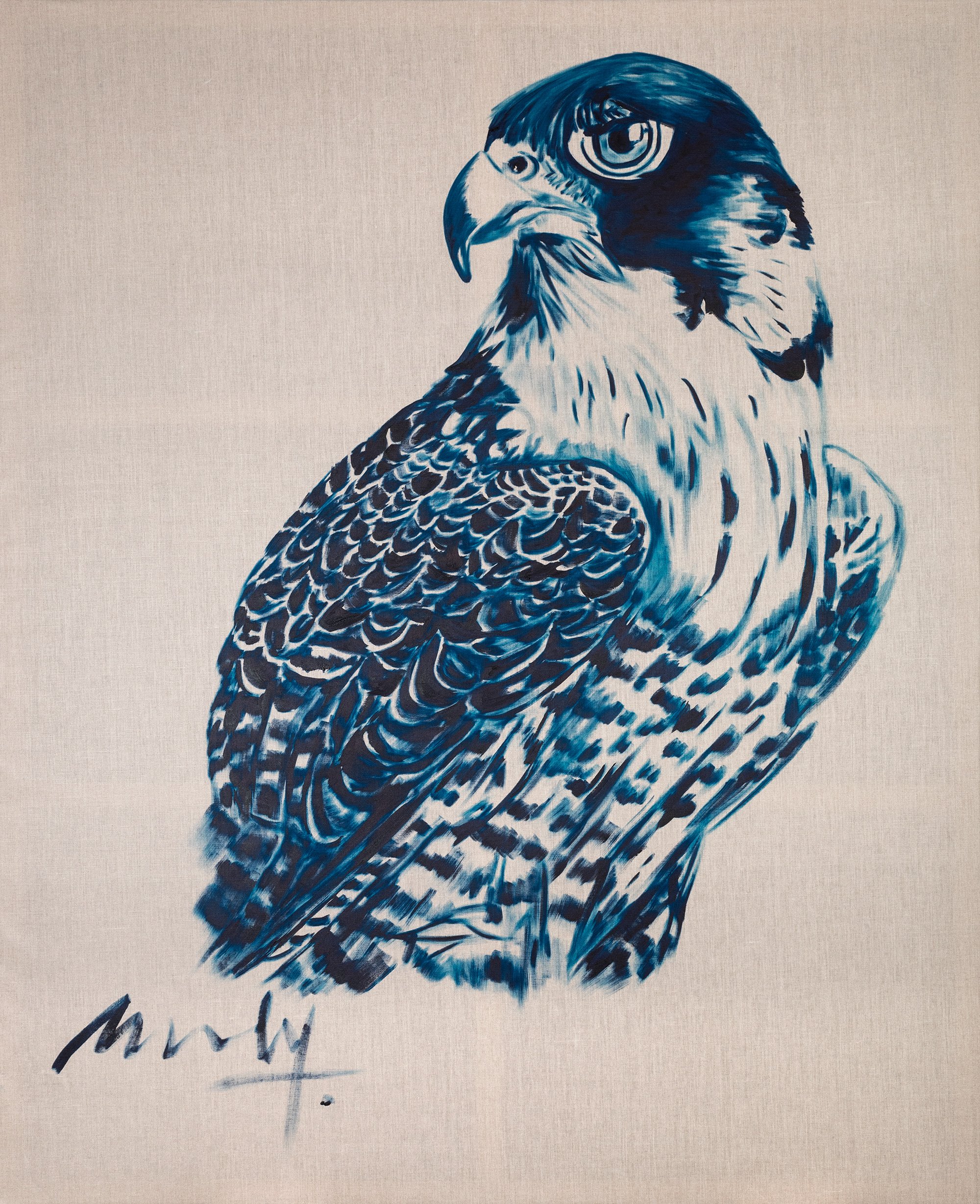 Falco columbarius Portrait