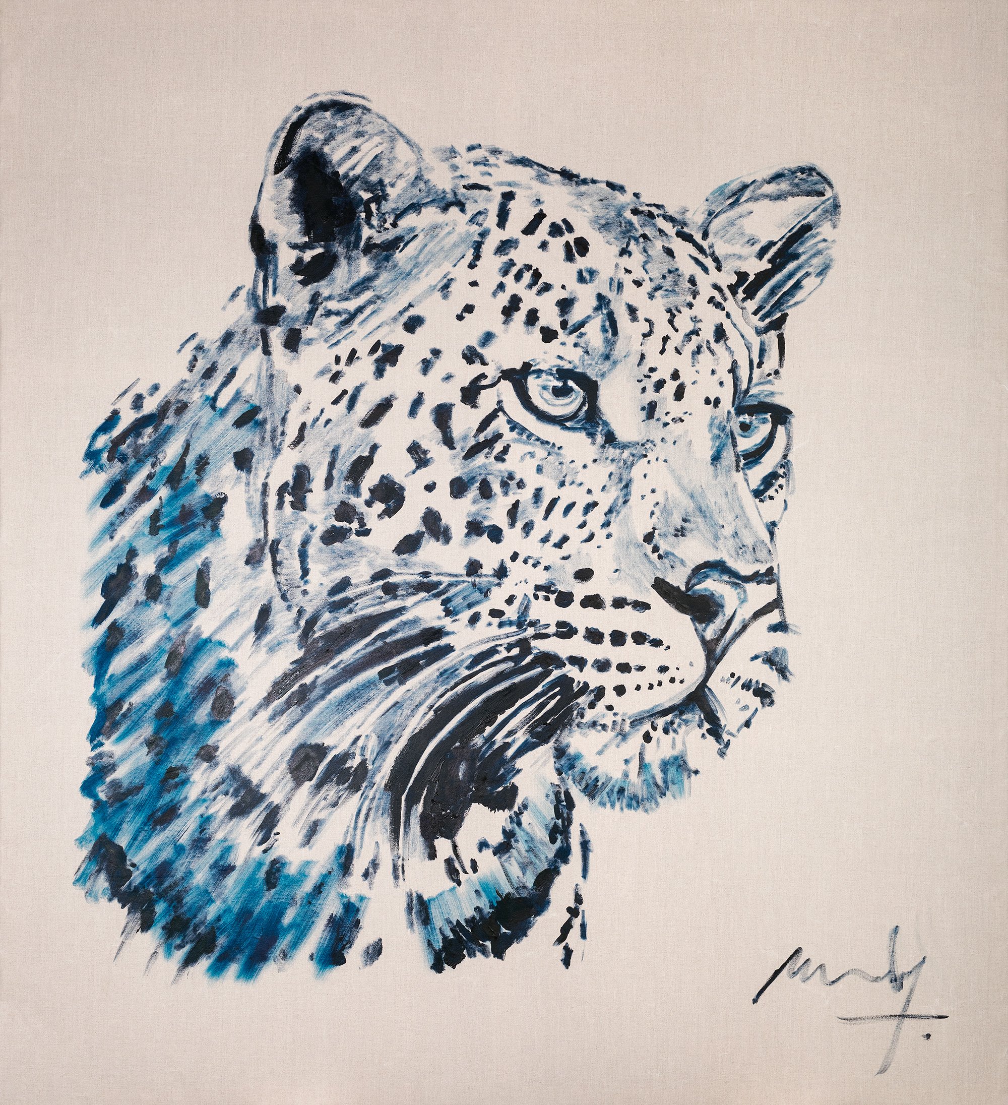 Panthera Pardus Profile