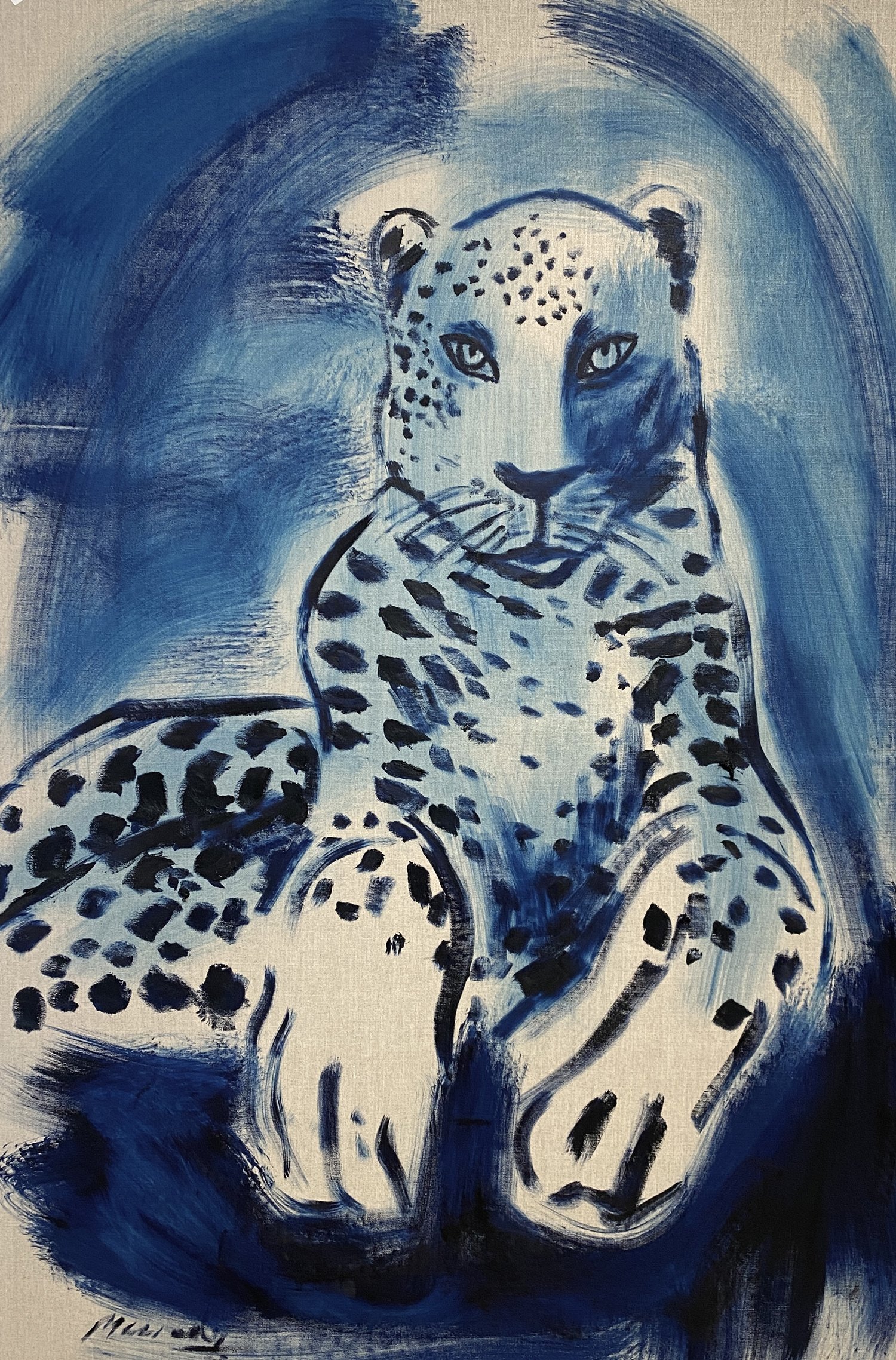 Frontal seated pose arabic and amur leopard study