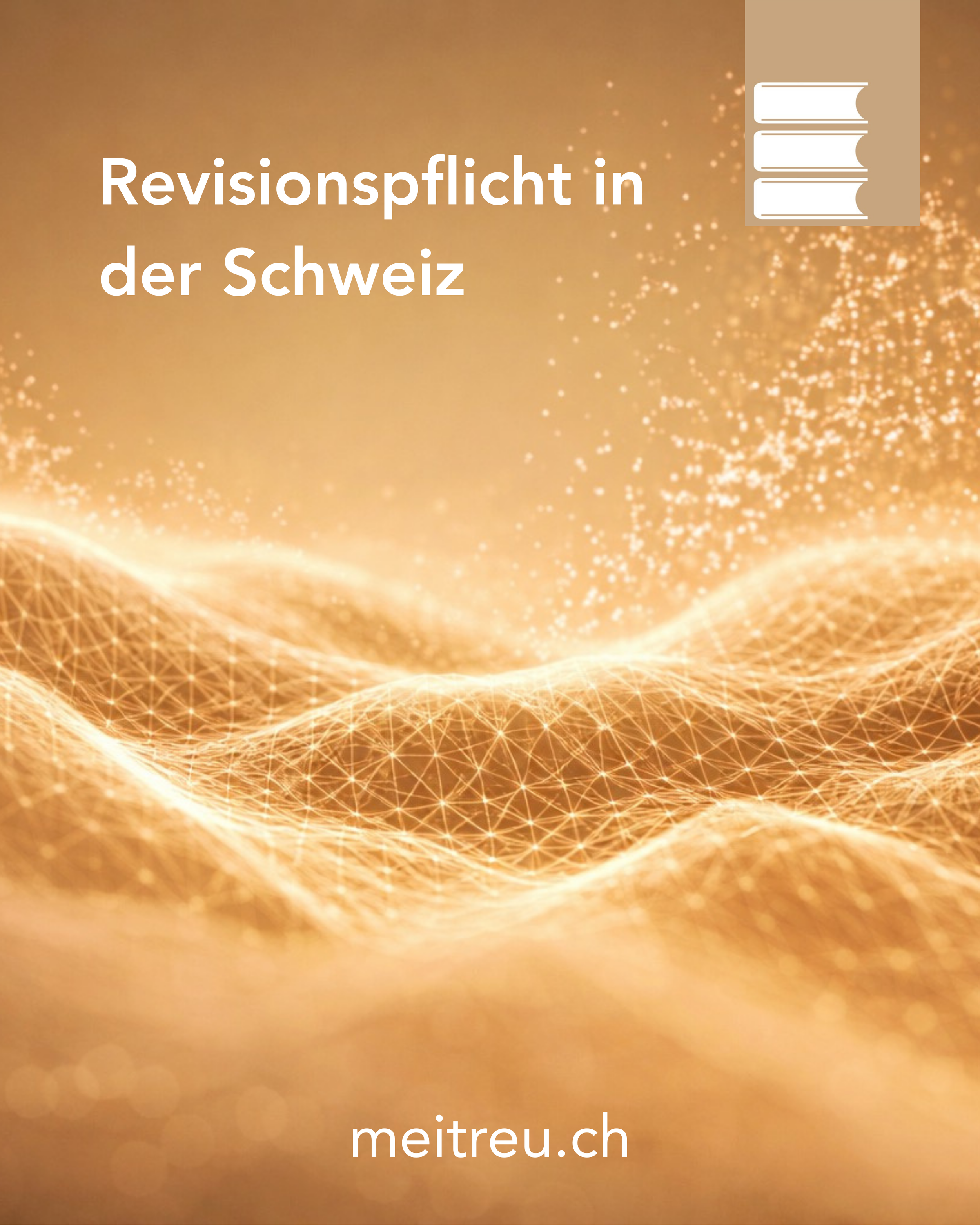 Revisionspflicht in der Schweiz – wann ist eine Prüfung der Jahresrechnung erforderlich?