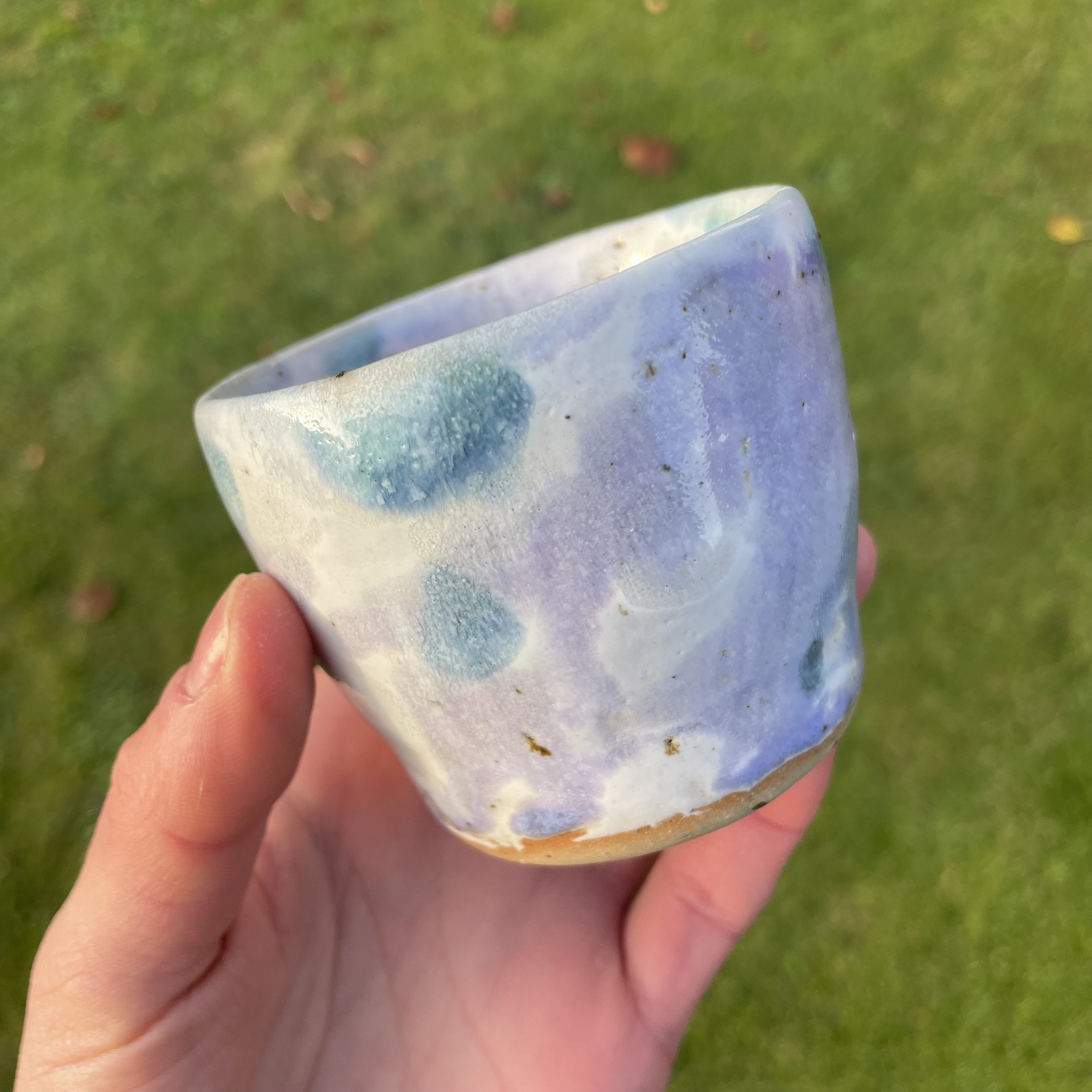 Becher Lavendel Feld 1