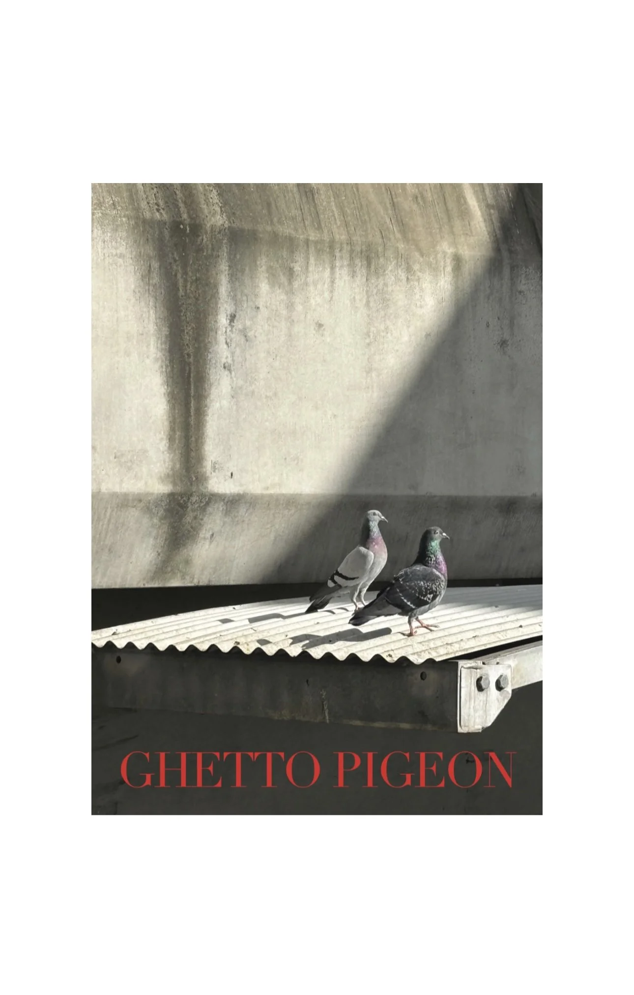 Ghetto Pigeon A4 Magazine