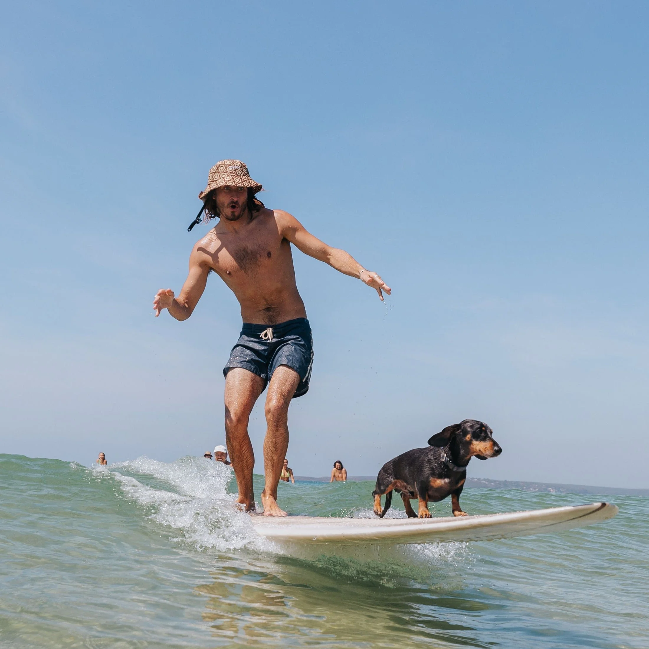 Bloomin Groover surf hat on surfer in ocean with dog surfing