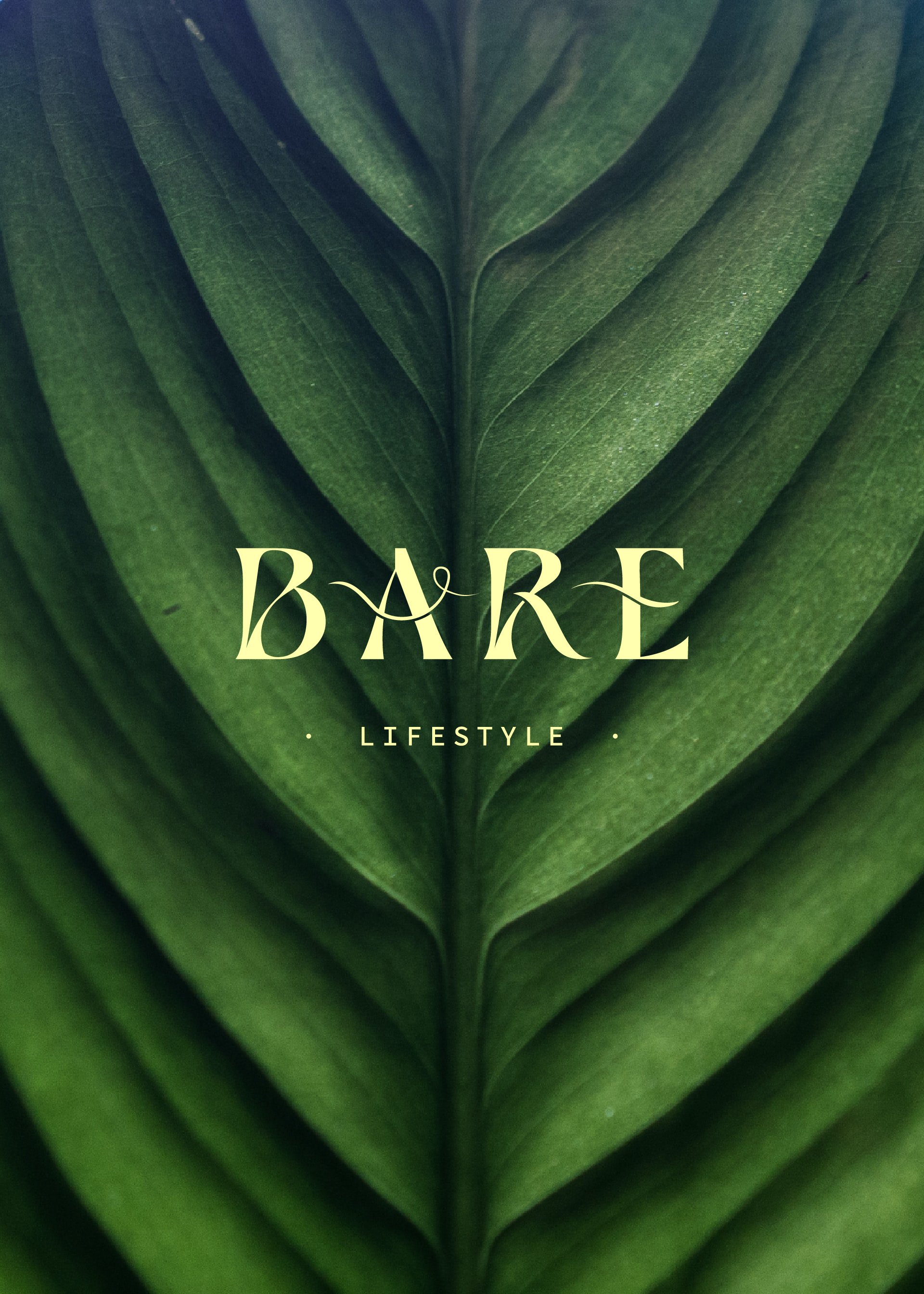 BARE-1.jpg