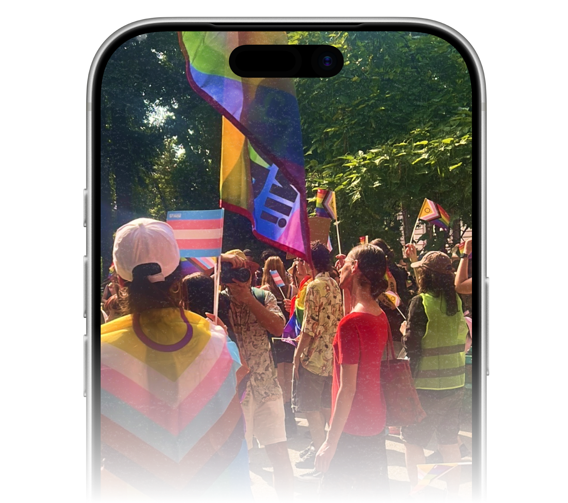 Crowd of people holding pride flags at an outdoor event, with some flags featuring rainbow and lesbian pride colors.
