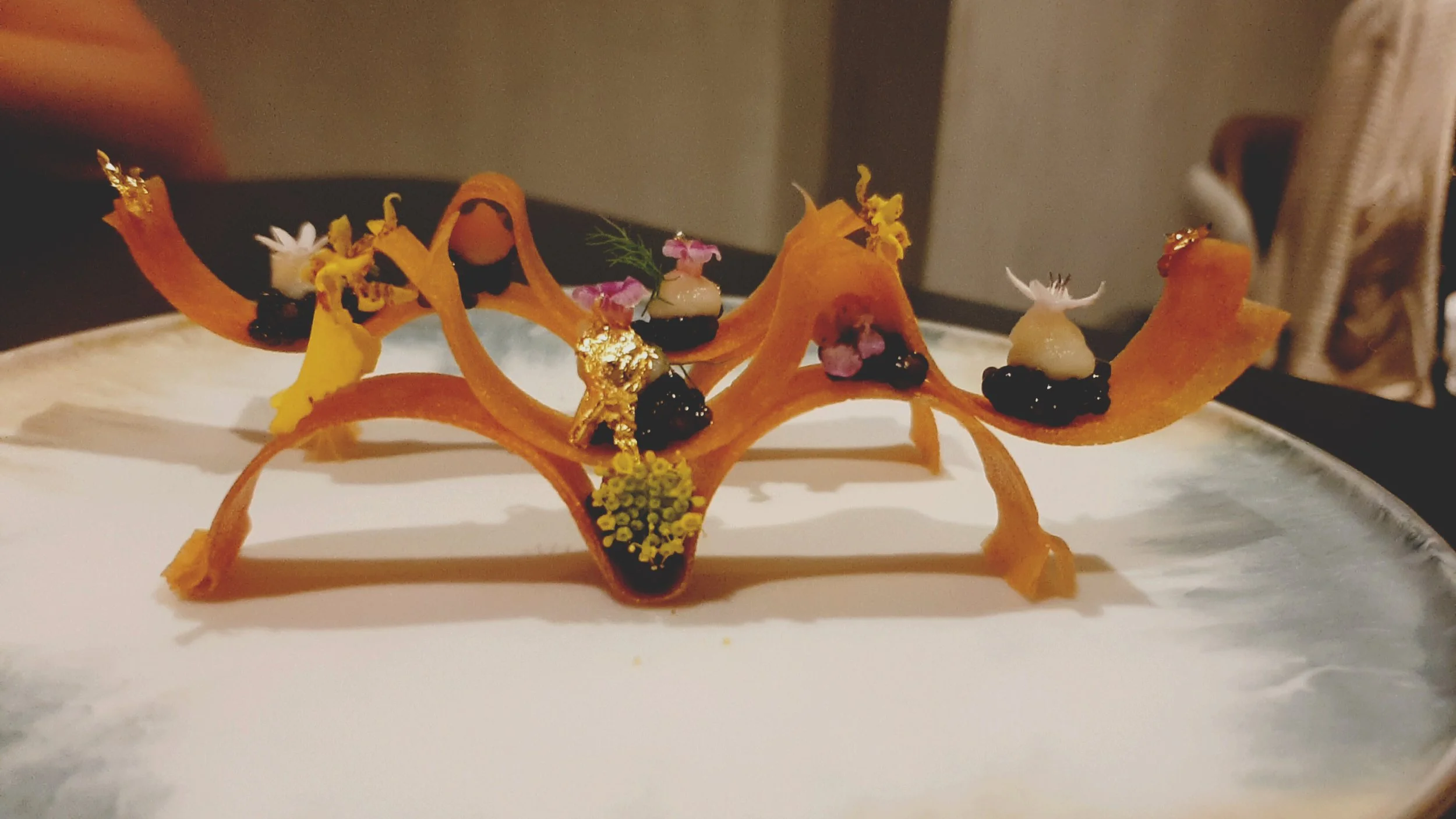 The Euphoria Experience