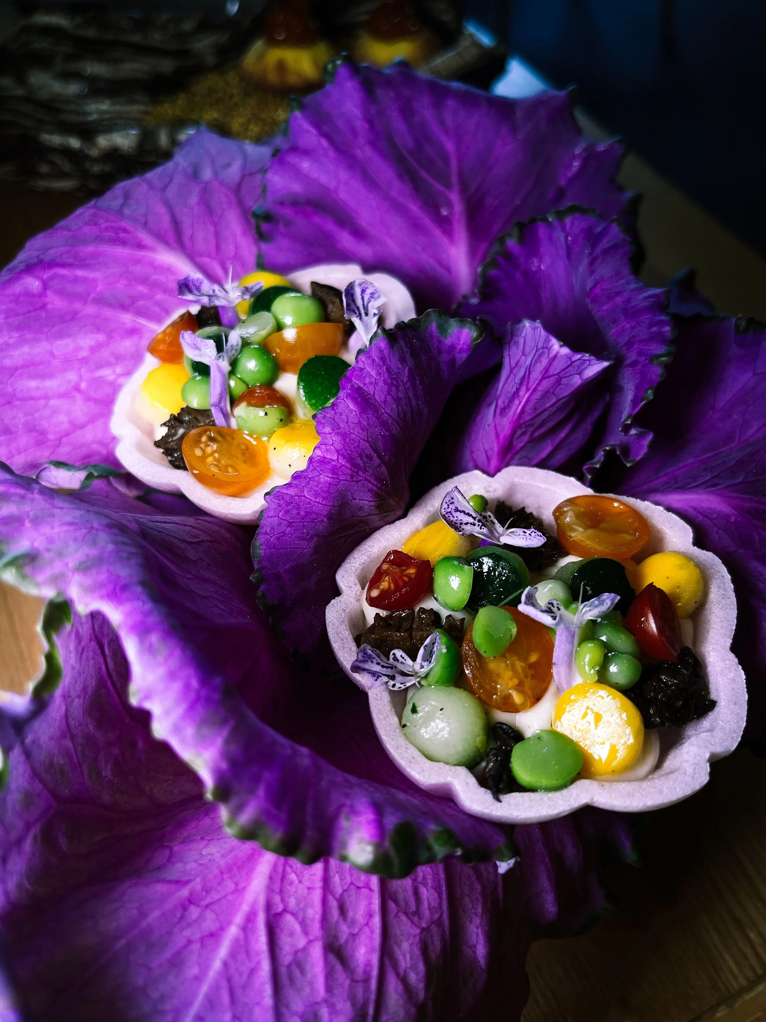 The Braci Experience