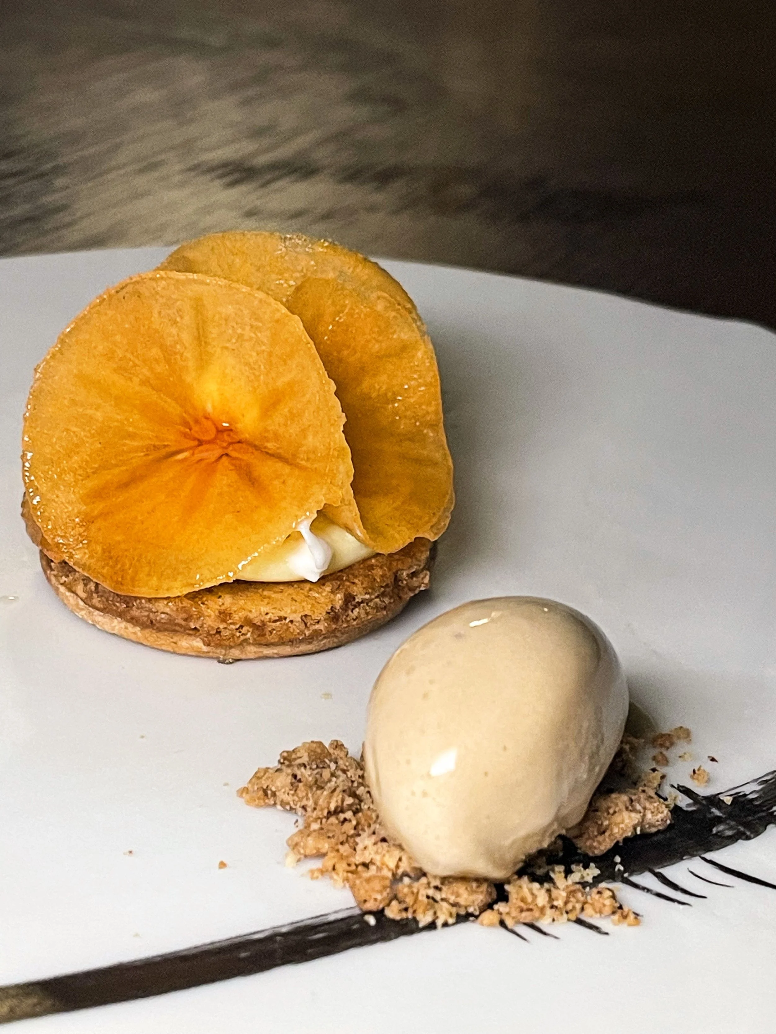 The Preludio Experience