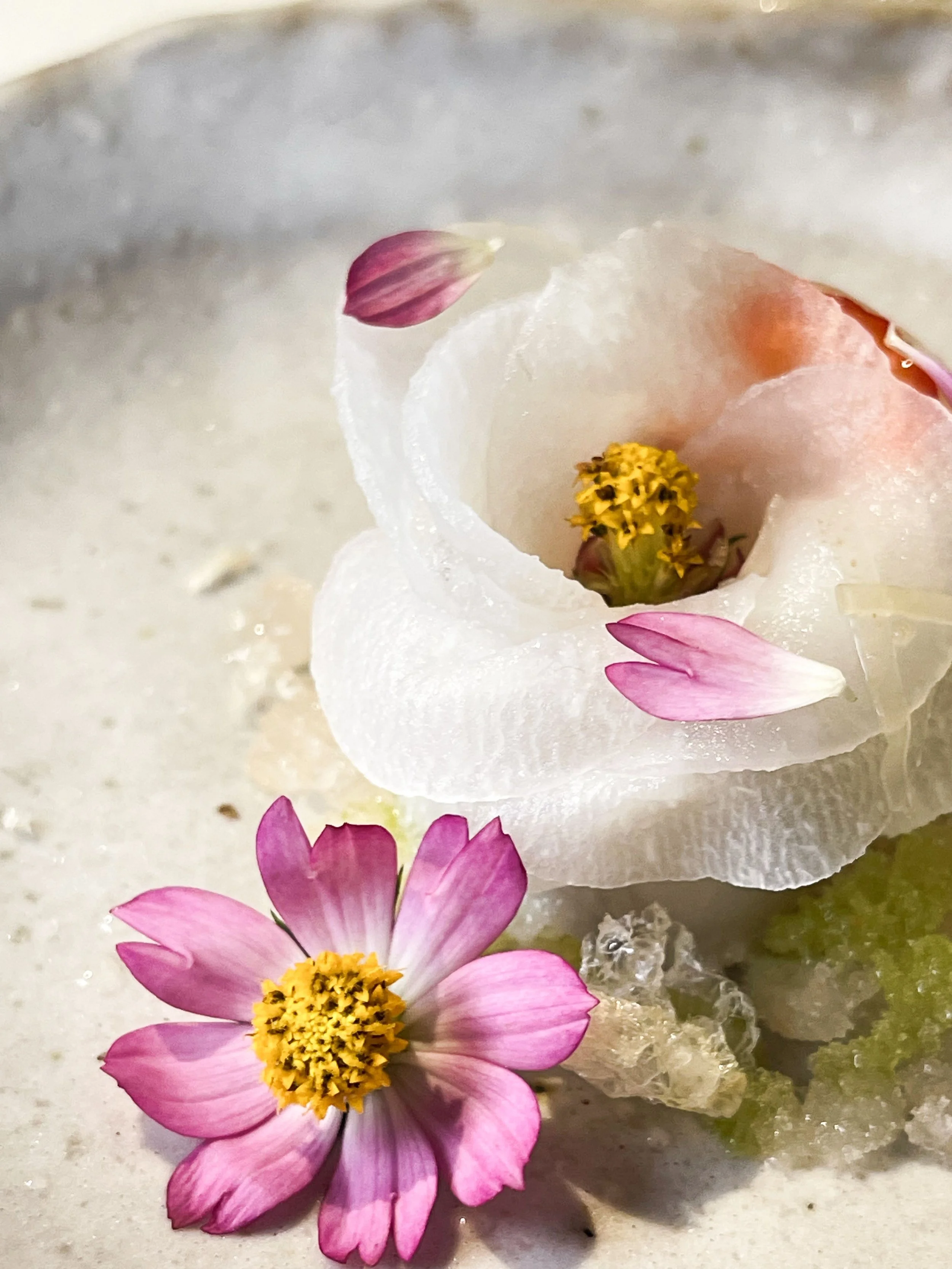 The Labyrinth Experience