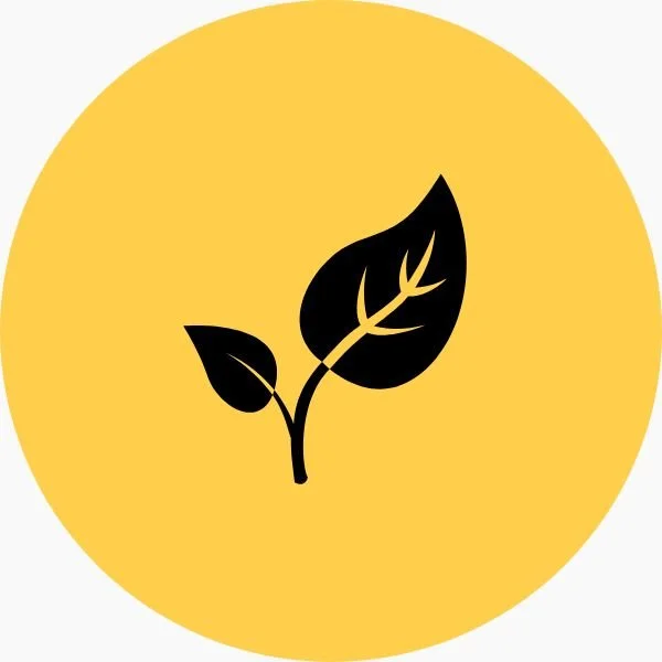 Icon selbst pflegbar