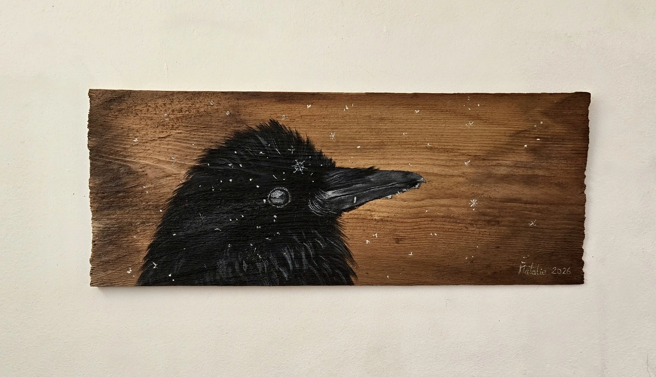Raven Snowflake
