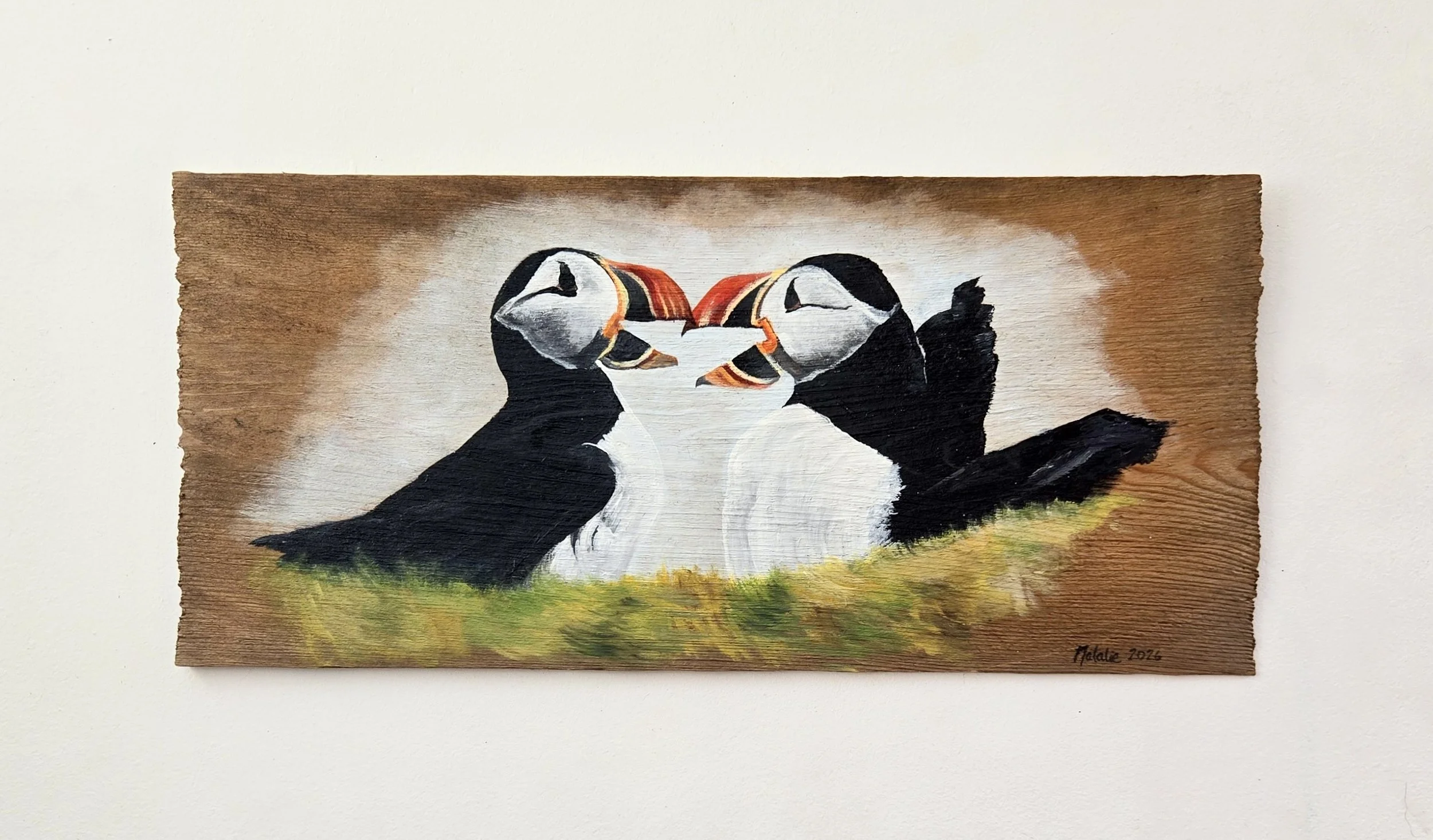 Puffin Squabble