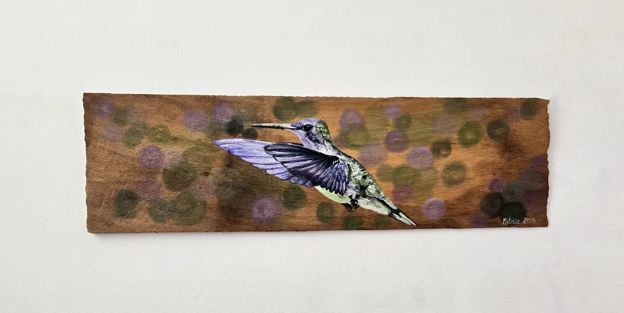 Hummingbird in Flight