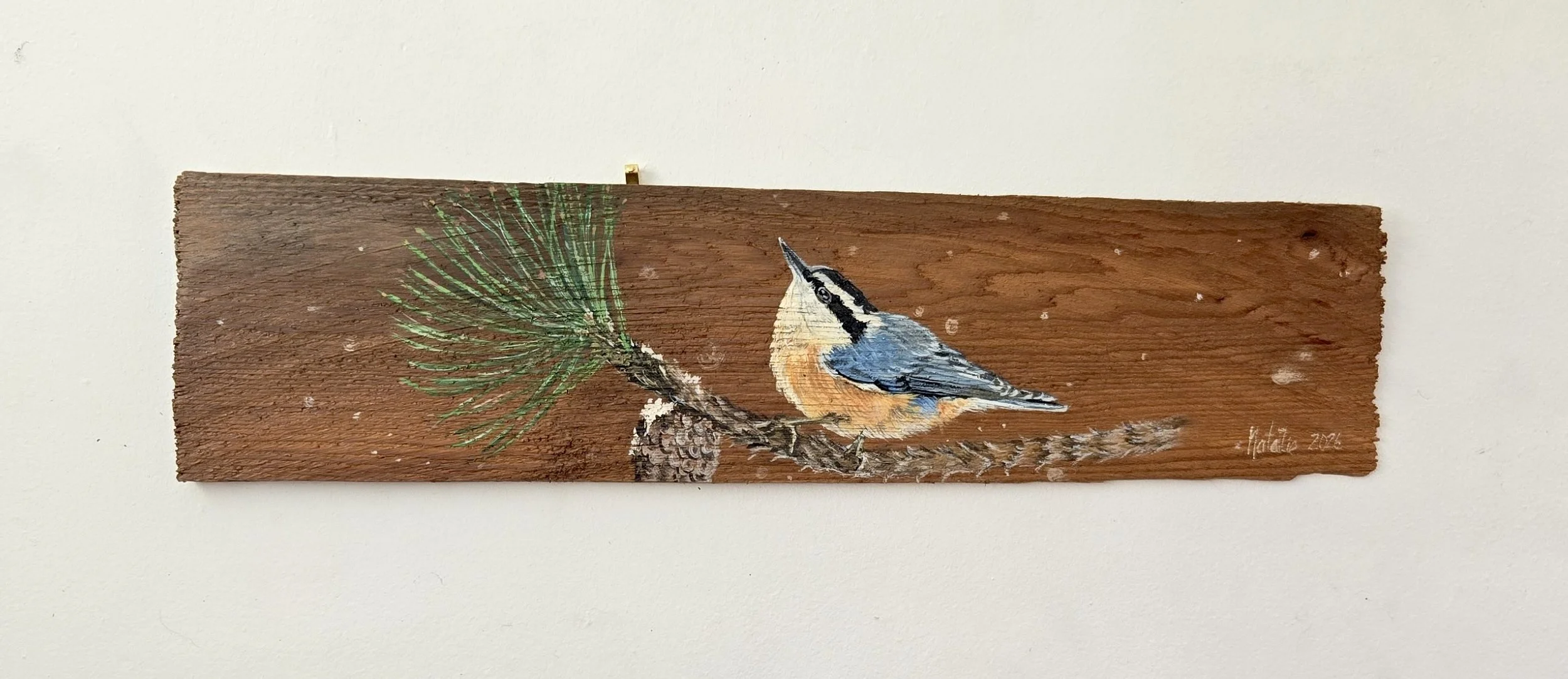 Nuthatch in Winter