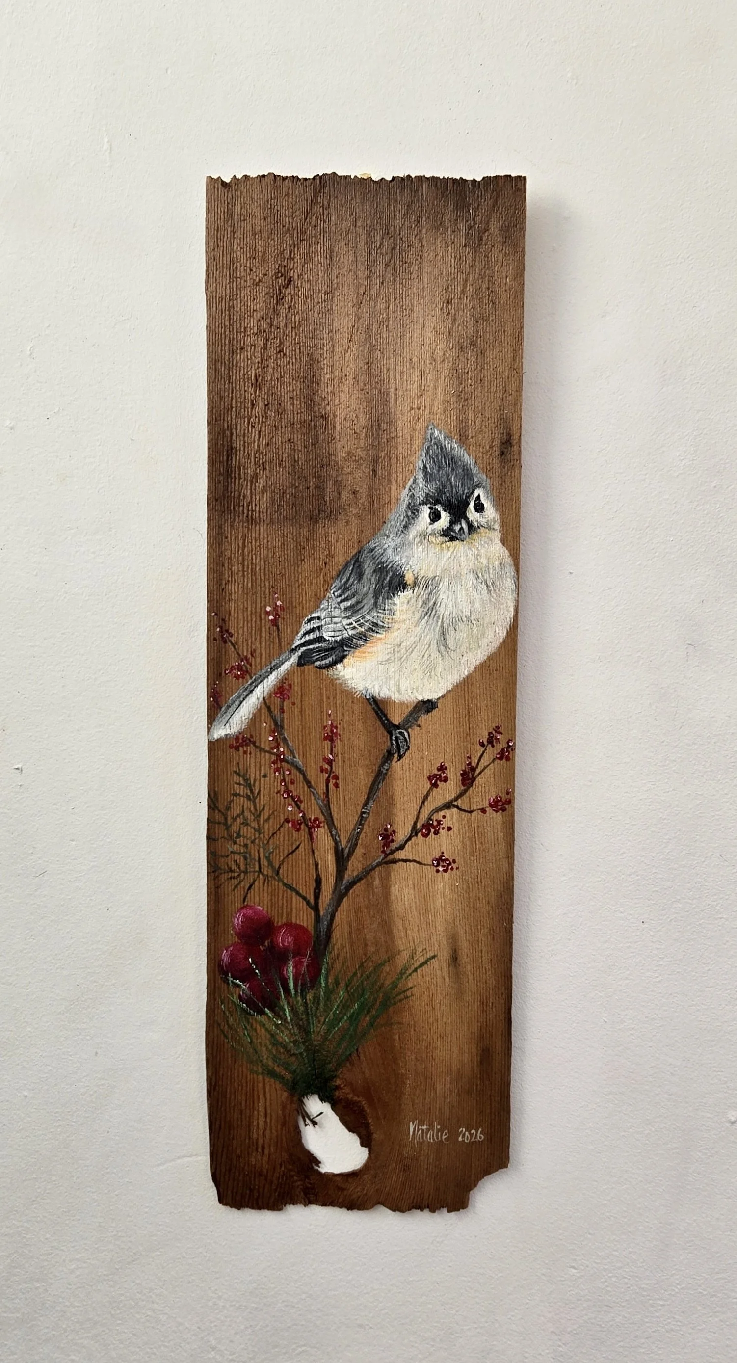 Tufted Titmouse