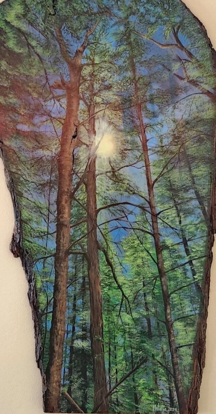 sunlit evergreen.jpg