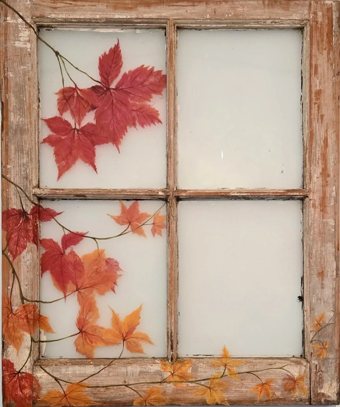 processed_fall+virginia+creeper.jpg