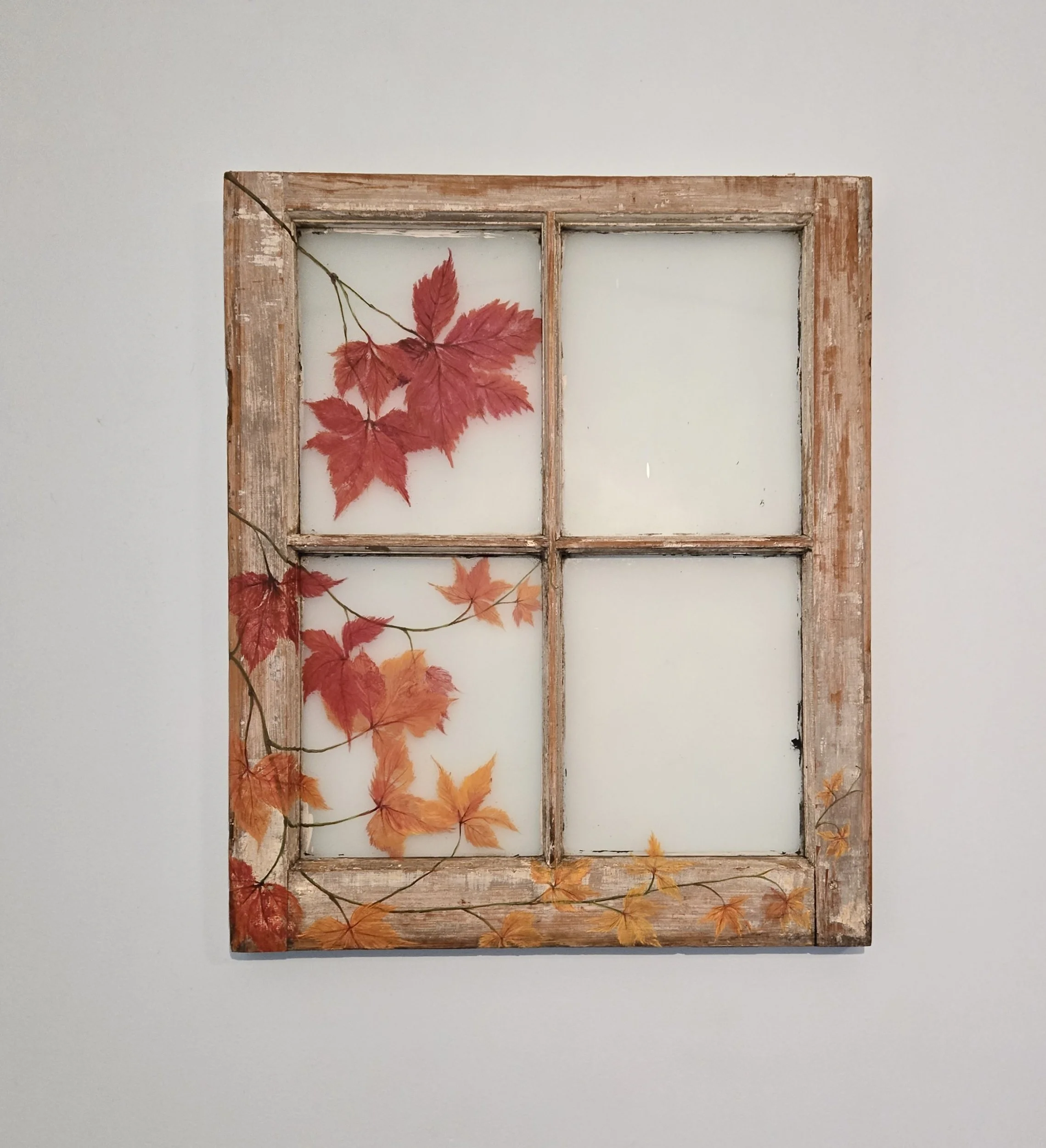processed_fall virginia creeper.jpg