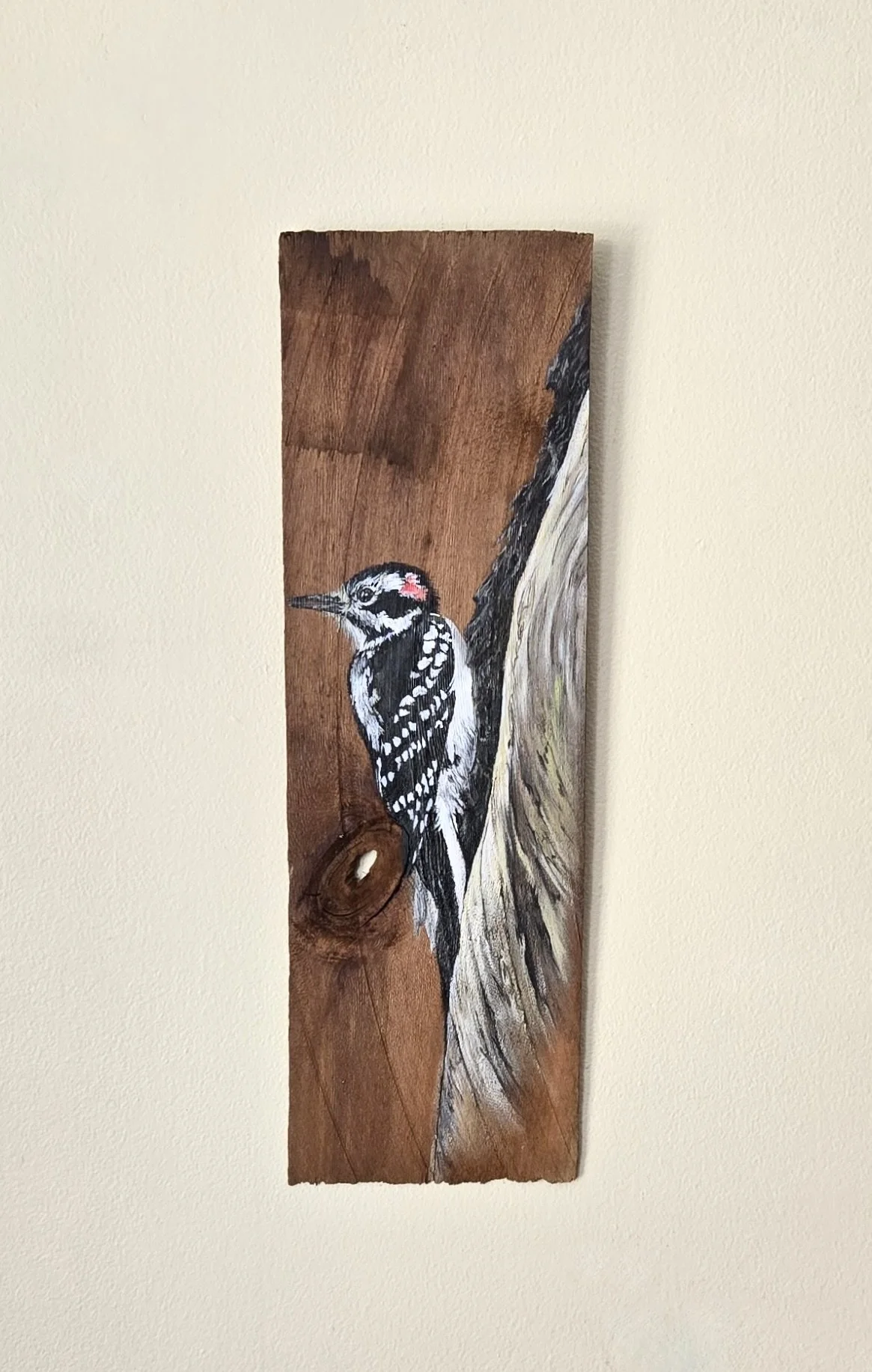 Hairy Woodpecker