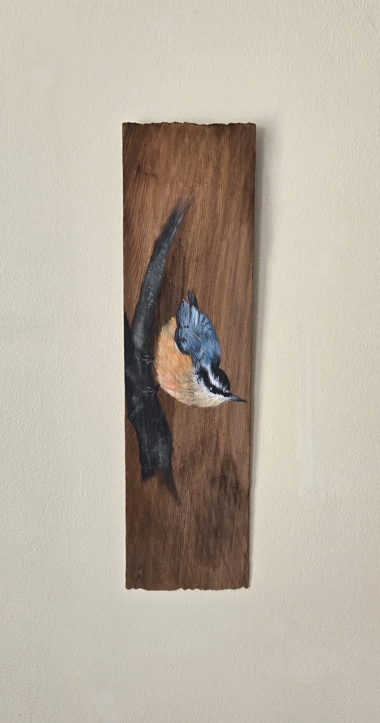 Red-Breasted Nuthatch