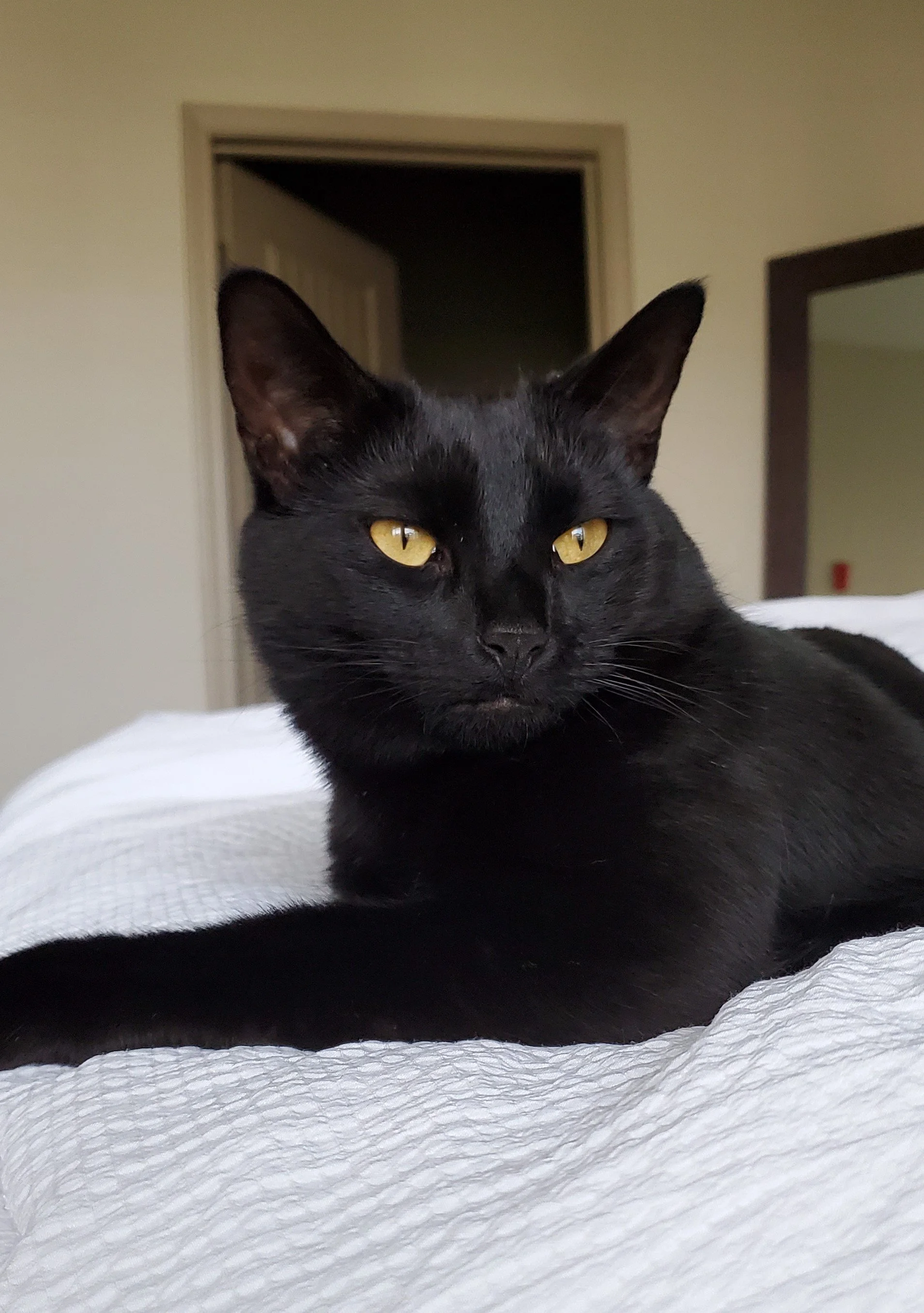 Trevor (2 Years)