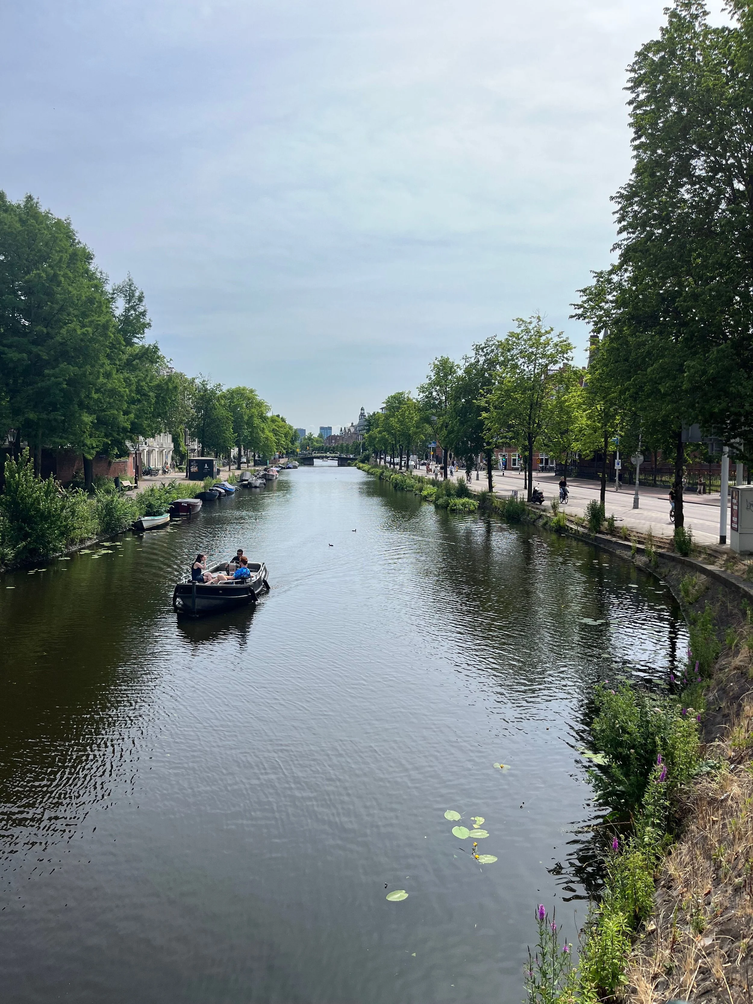 Friday Links: the year is half over, have a COLOSSAL links list! 