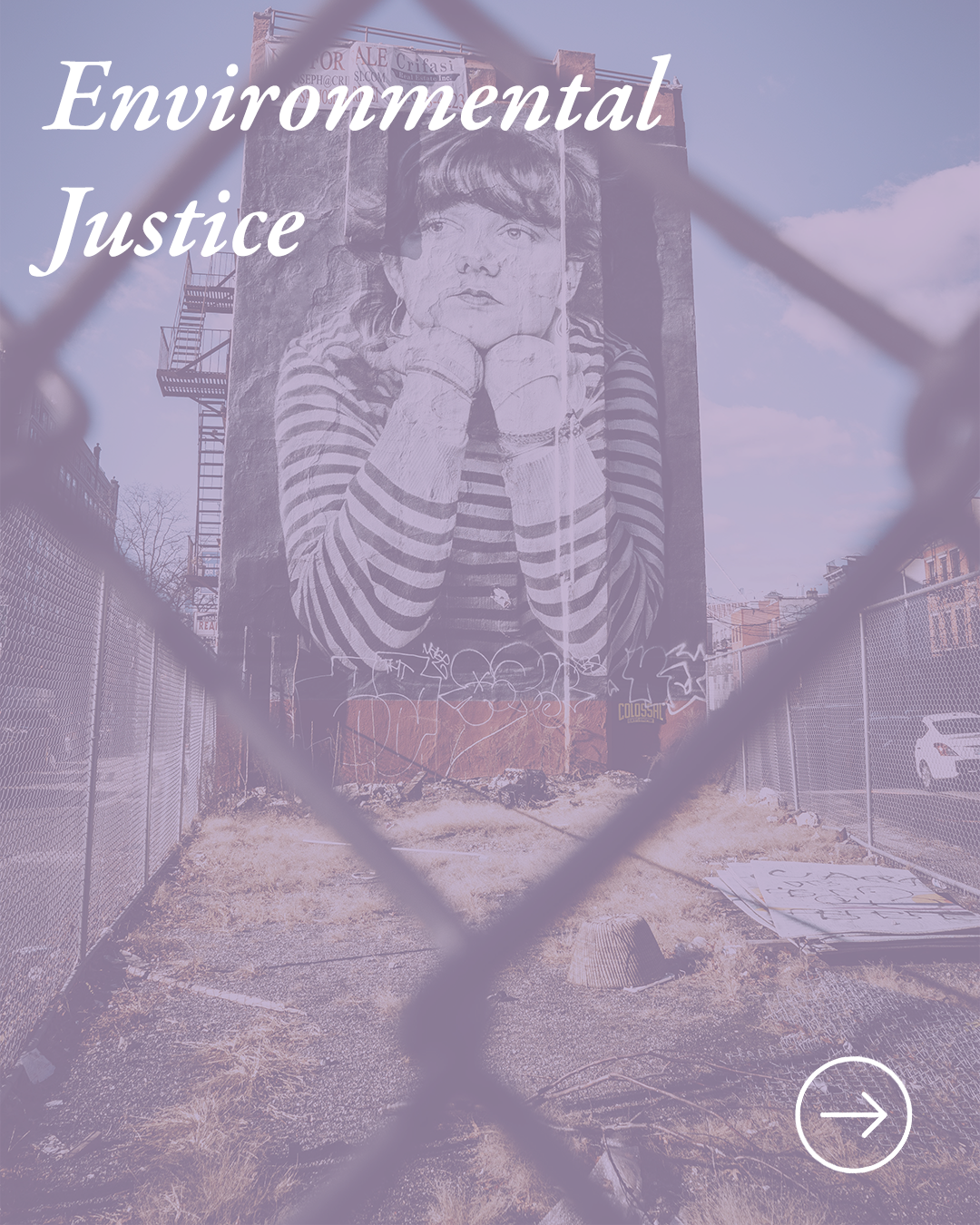 ECJ Carousel v1.png