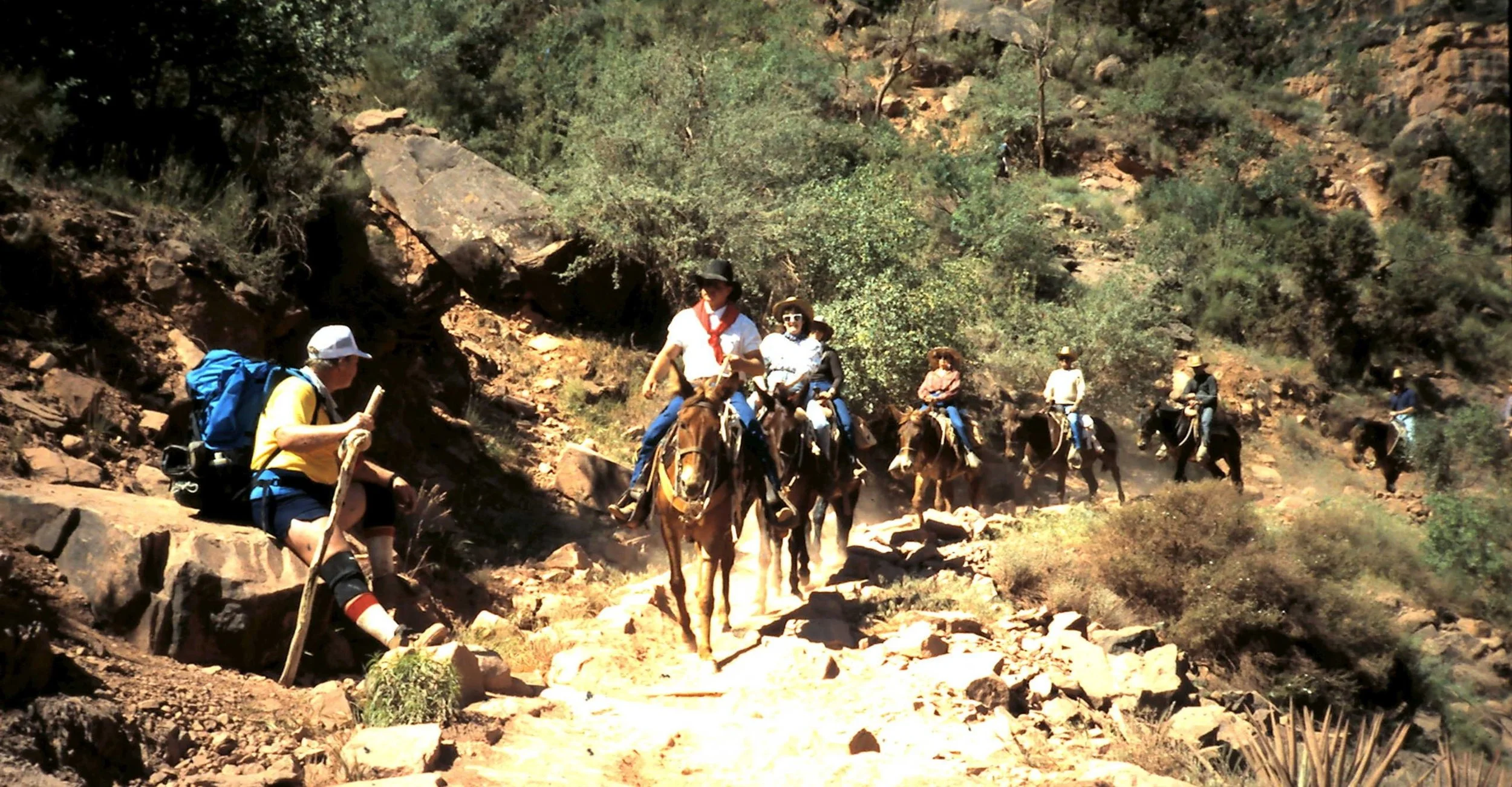 15 grand canyon 5z.JPG