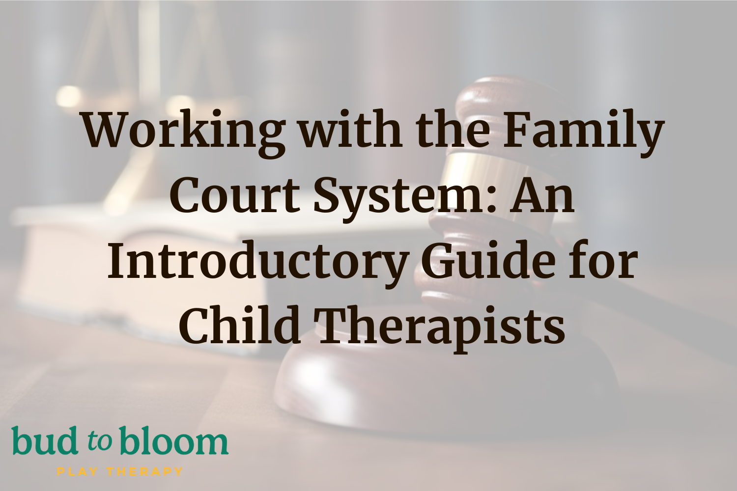 Working with the Family Court System: 