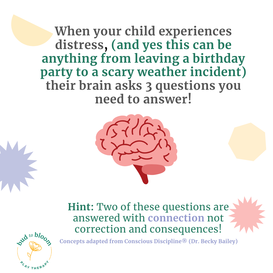 3 questions .png