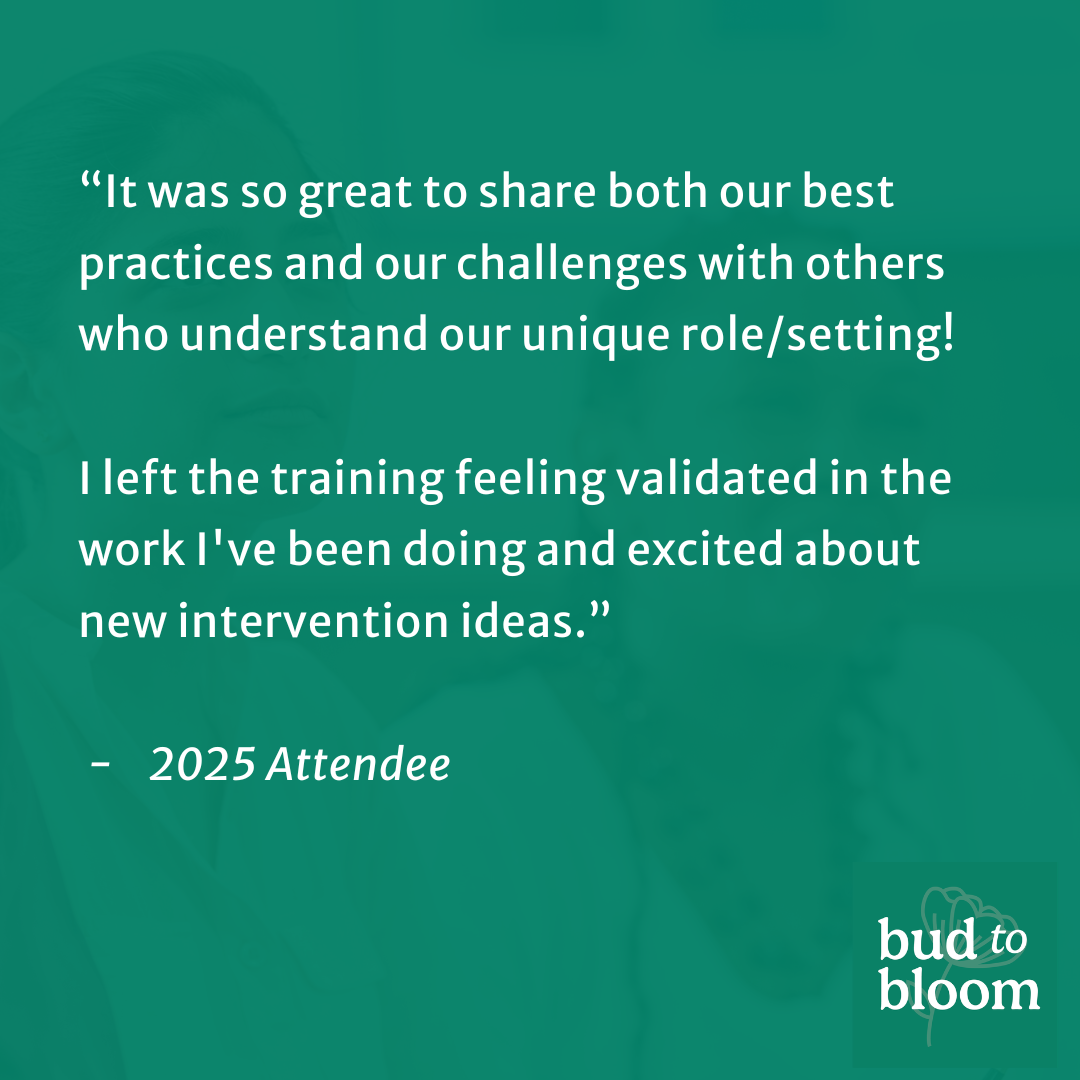 School can be playful Play based interventions for school based clinicians. TESTIMONIAL.png