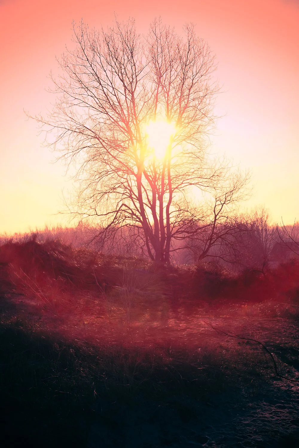 Loslaten van je verhaal: vrijheid vinden in je eigen lichaam