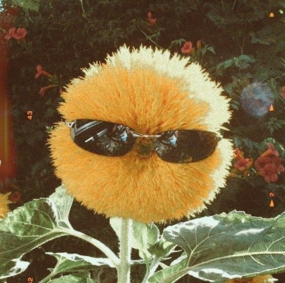 Hoe je jezelf durft te zijn: loslaten, vertrouwen en vrijheid