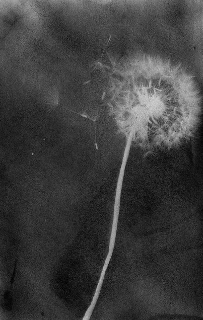 Waarom we vasthouden aan externe veiligheid.