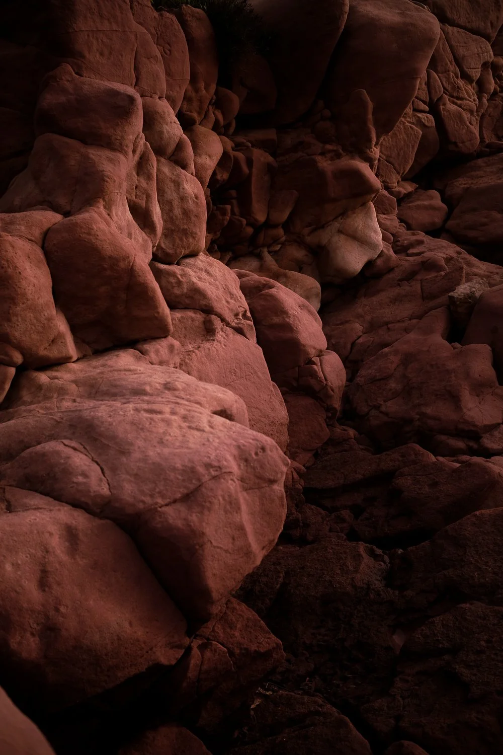 Trauma- &amp; Bewegingscoaching: Herstel je lichaamsbewustzijn