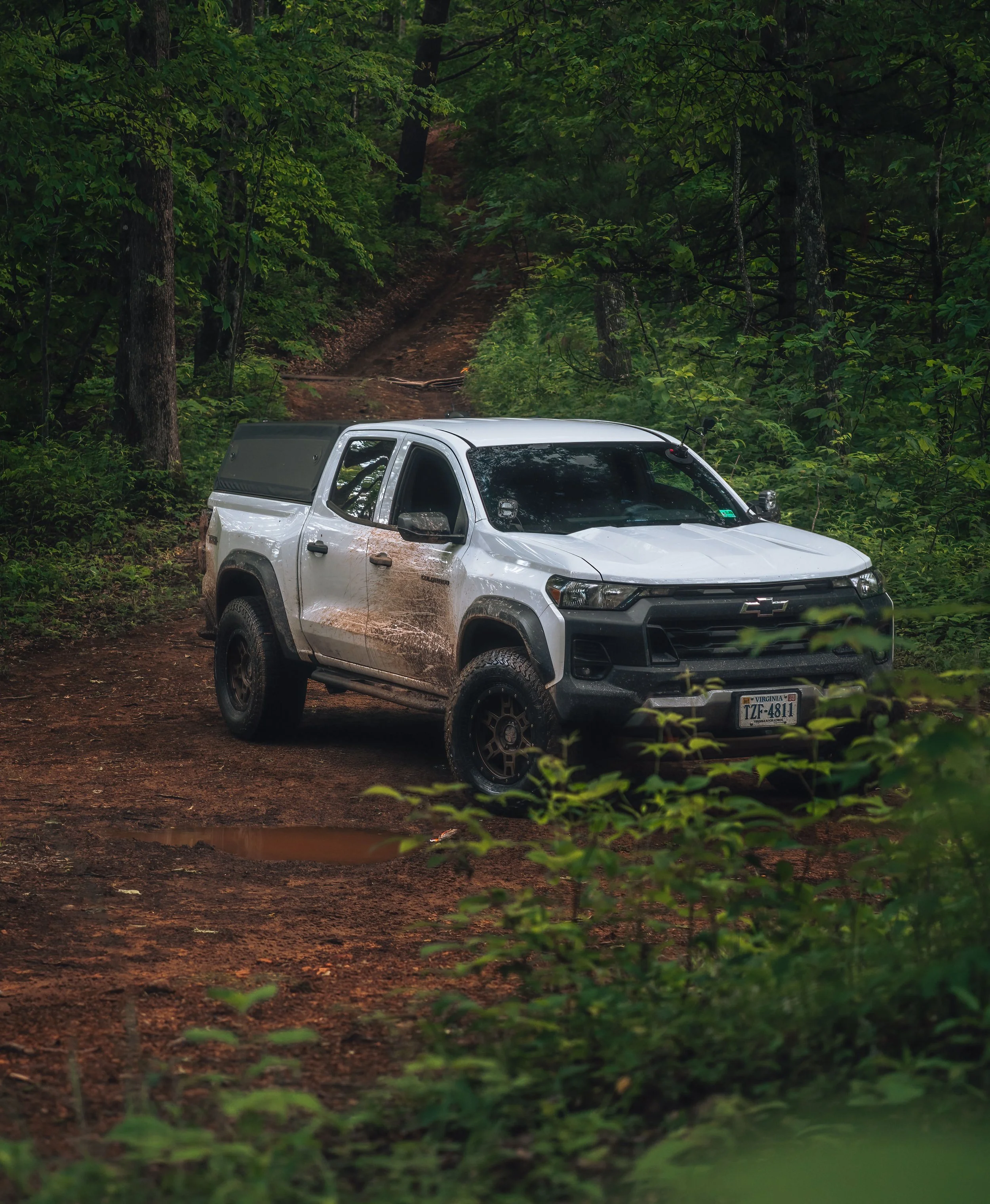 A white Chevrolet Colorado Trail Boss pickup truck is parked on a dirt path in a dense forest.